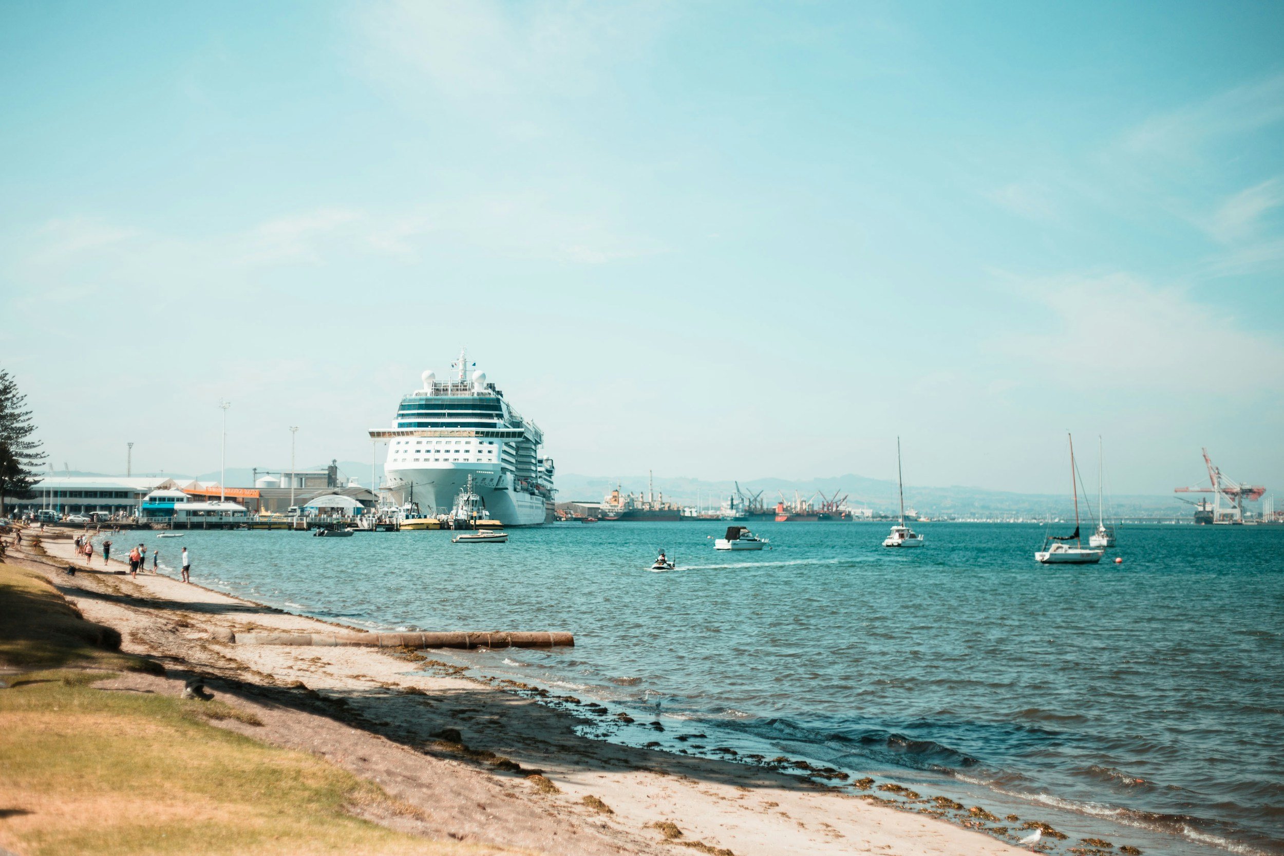 Bay of Plenty: Council Hotseat 2025