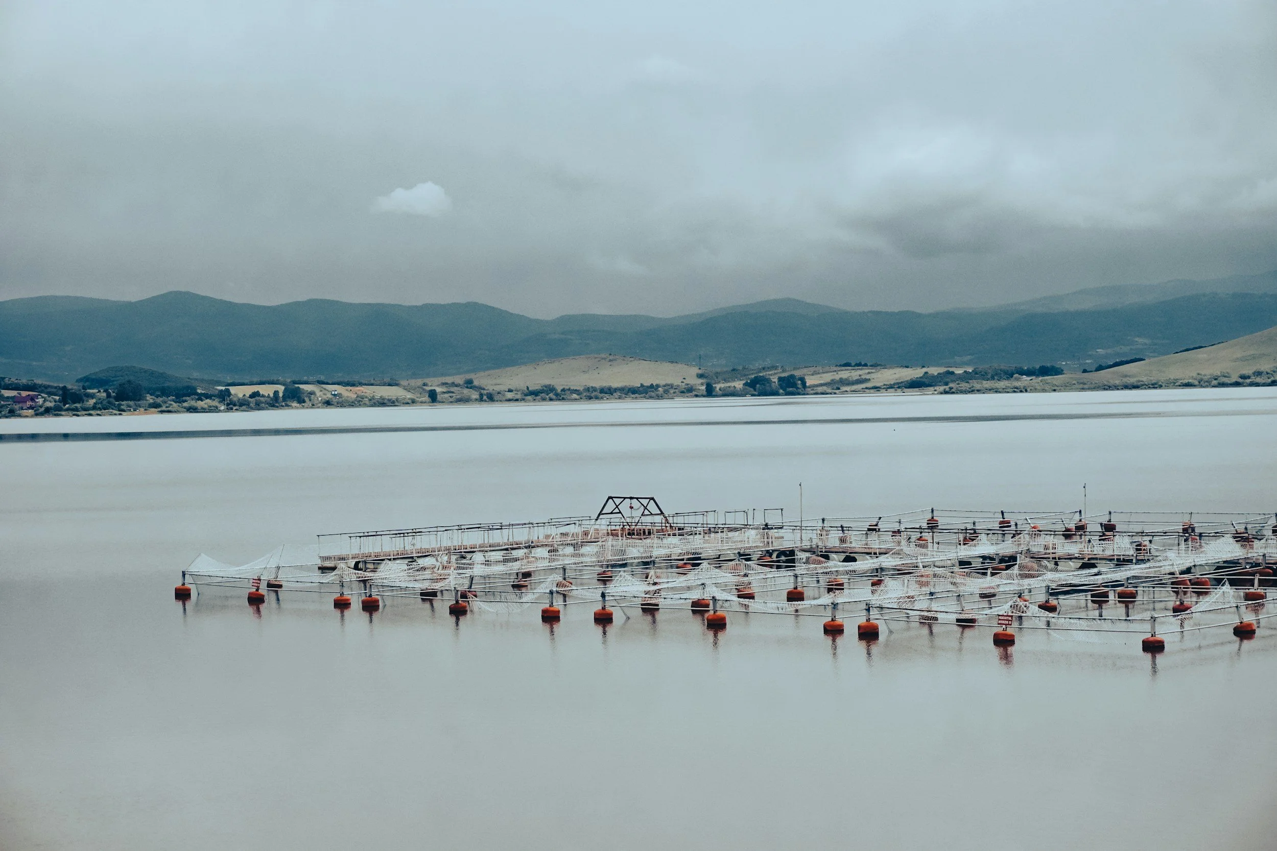 Policy Manager, Aquaculture NZ, Nelson