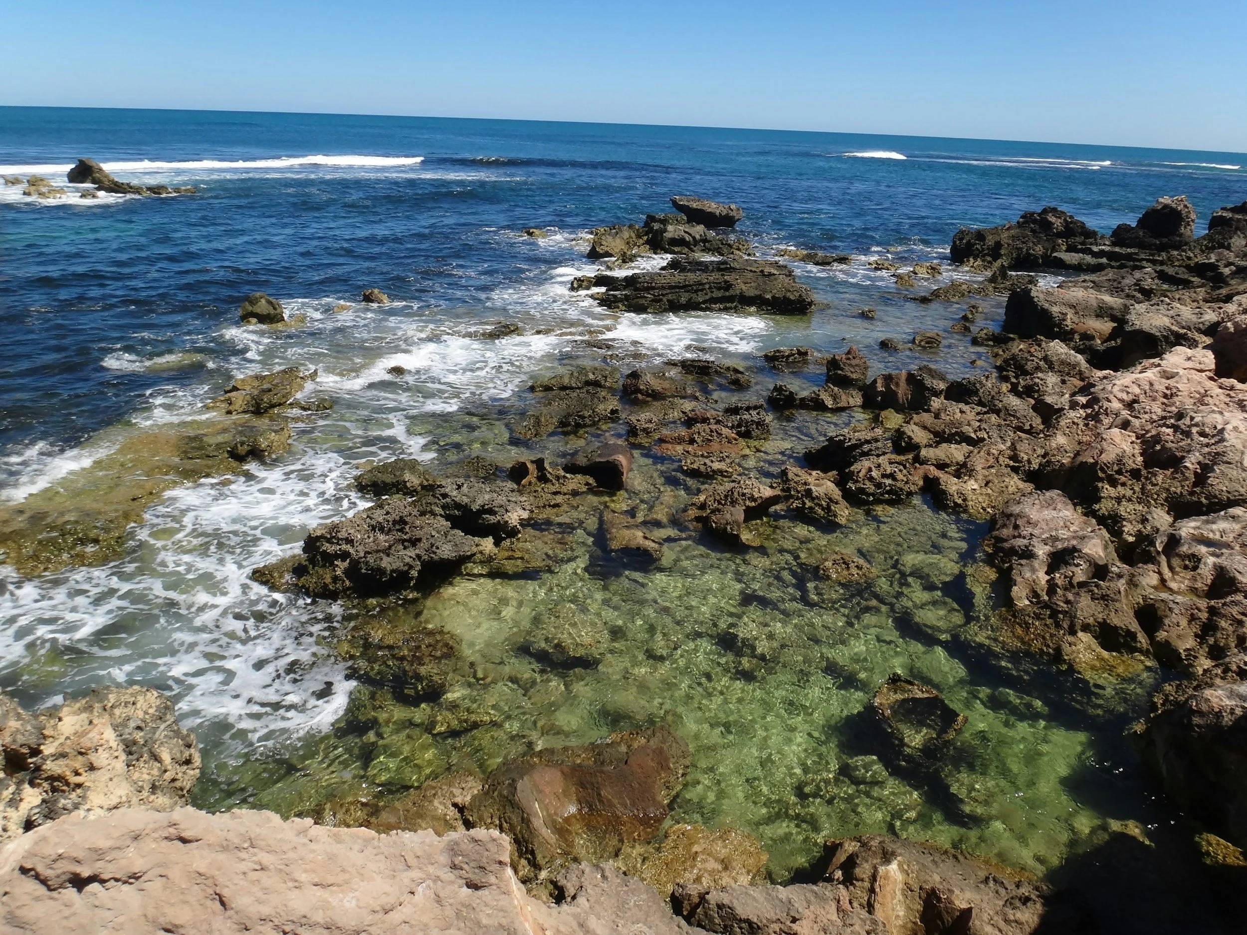 Govt considers advice on rockpool gathering