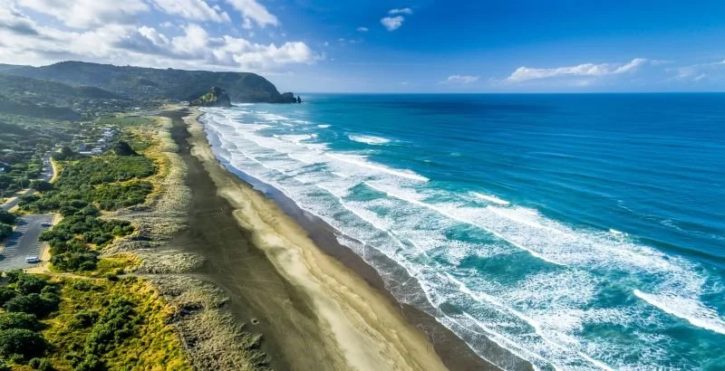 EDS Conference - Beyond the Election