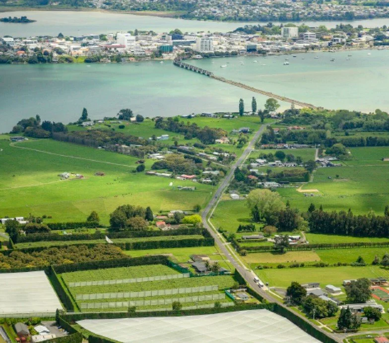 Economic Assessment for Fast-track Approvals Act 2024