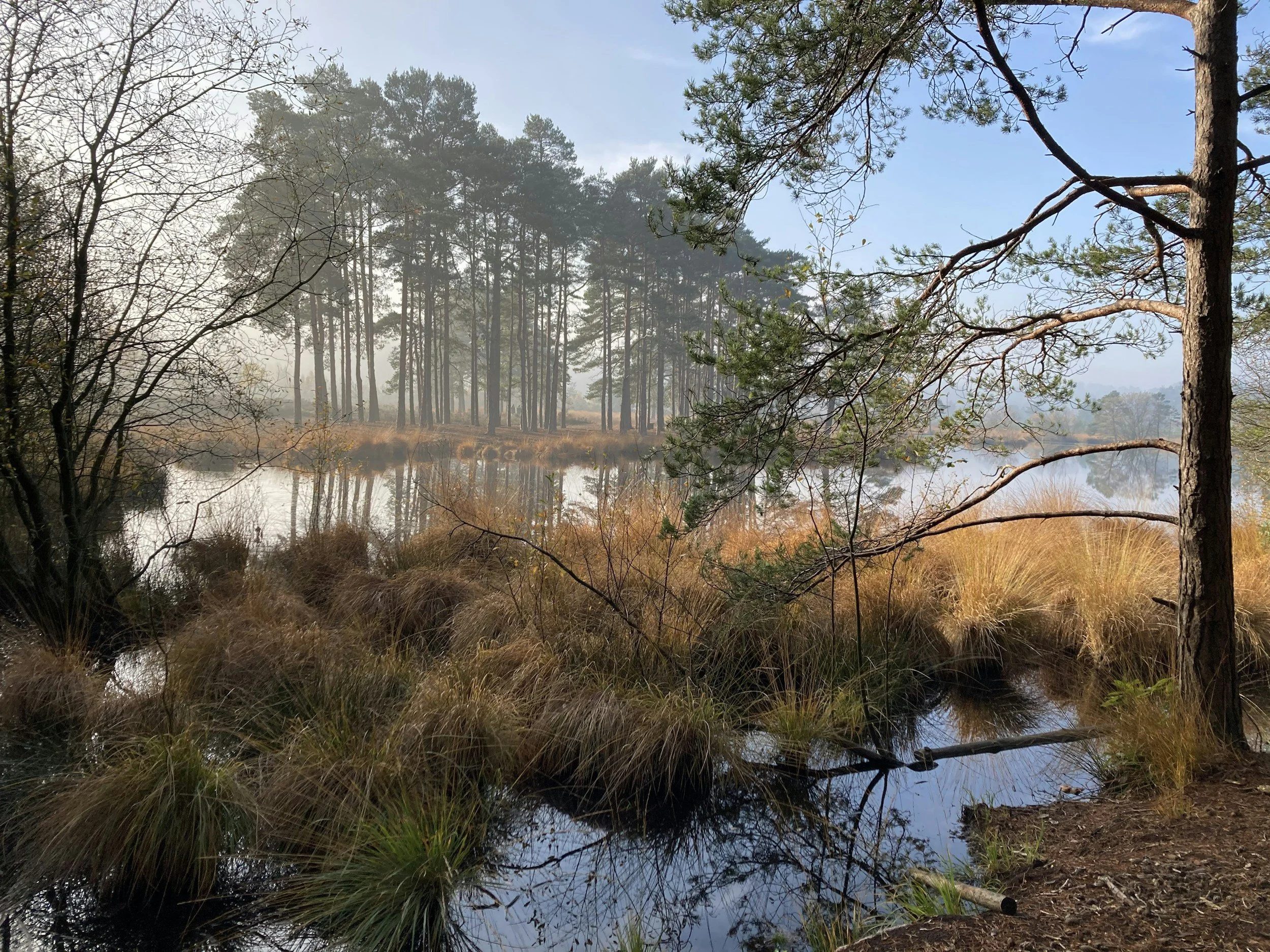 Action for Nature plan looks to sharpen biodiversity efforts