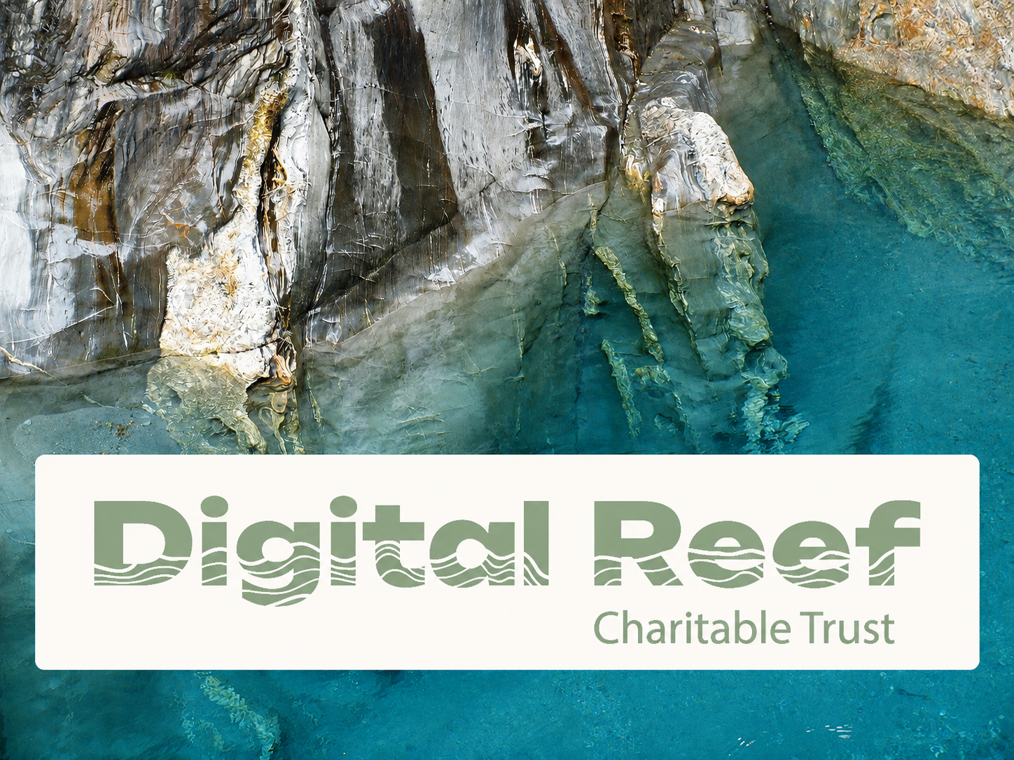 Trustees - Digital Reef Charitable Trust