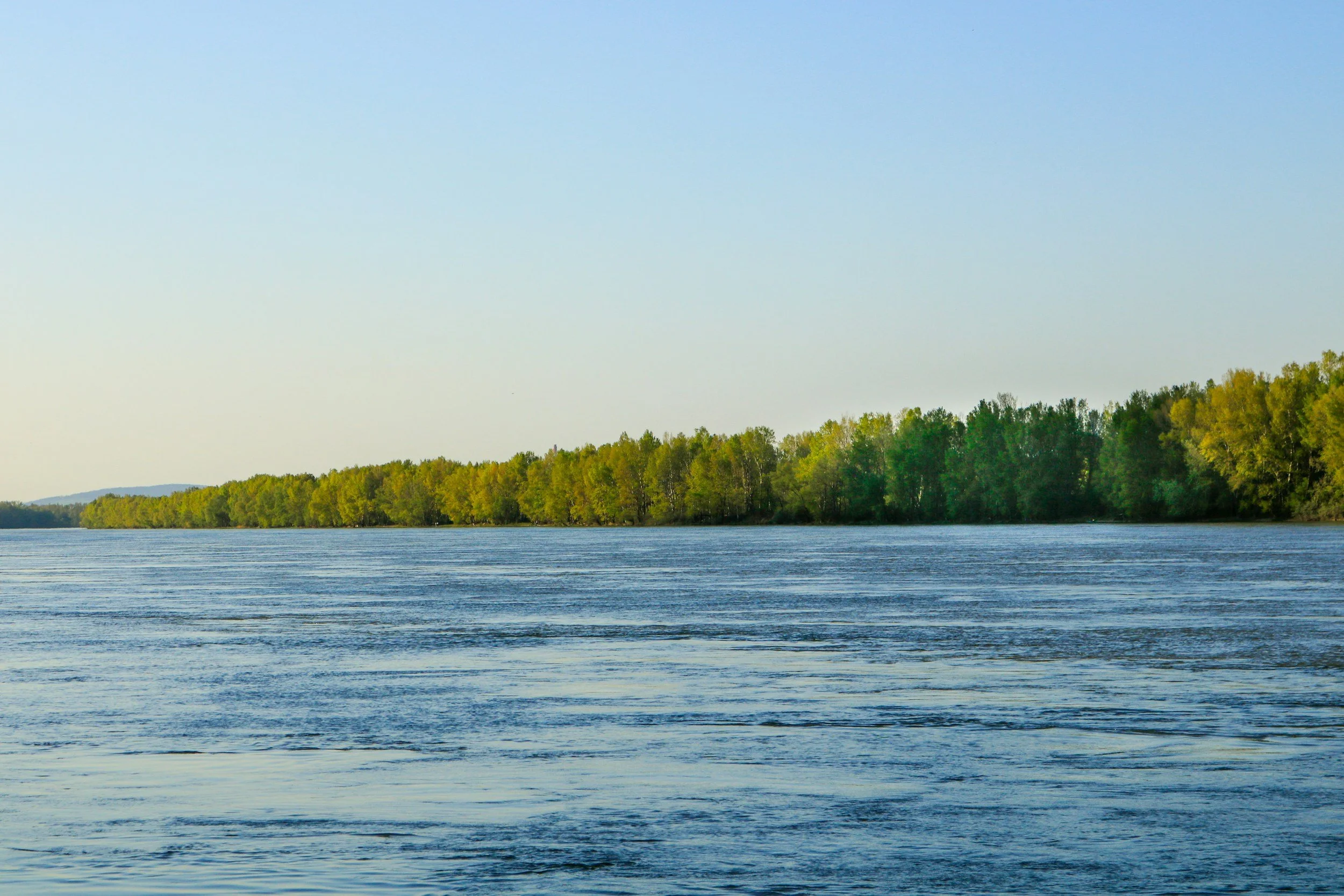 PCE comment on Tukituki Water Storage Project Land Exchange Application
