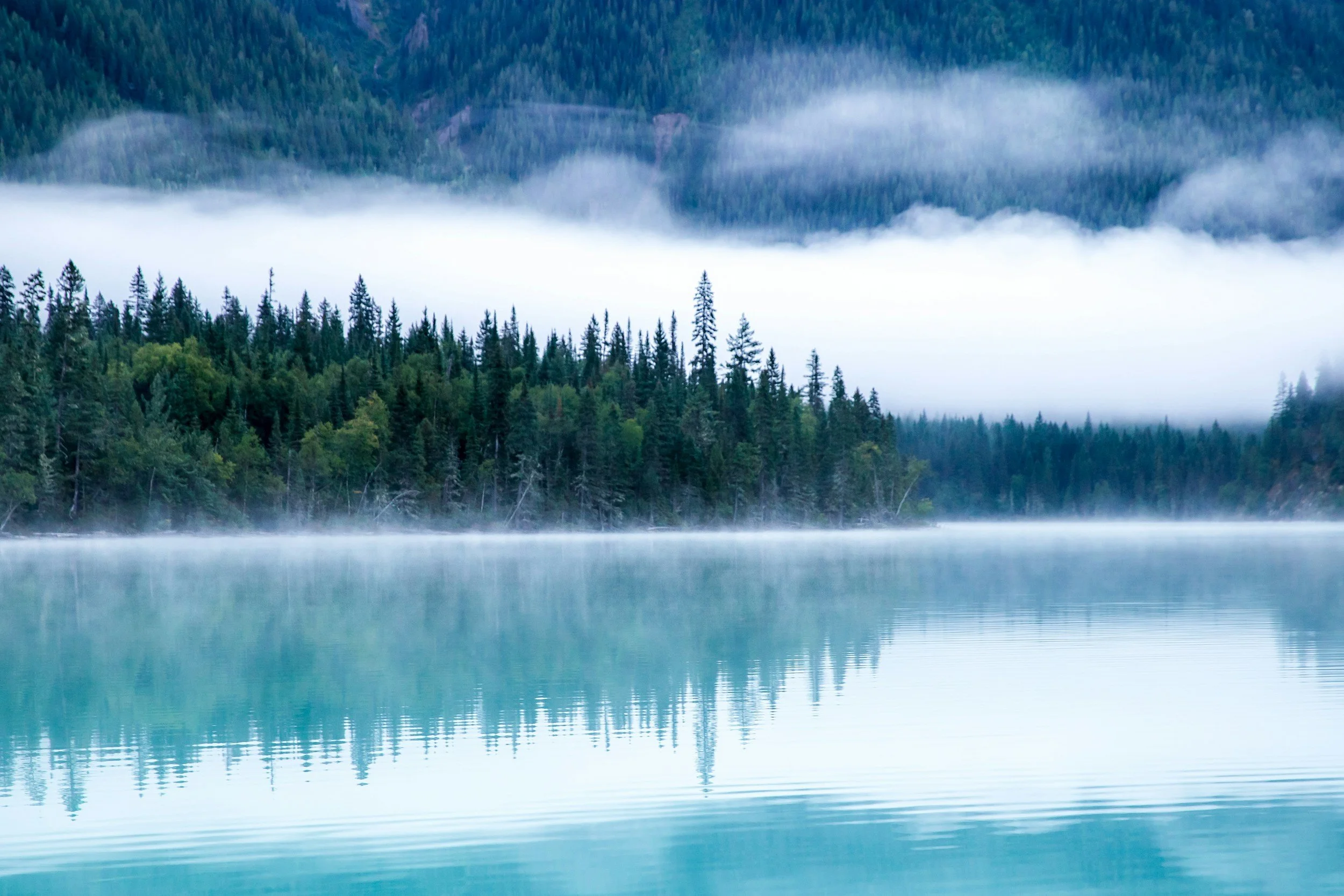 Environmental Reporting Act legislation introduced