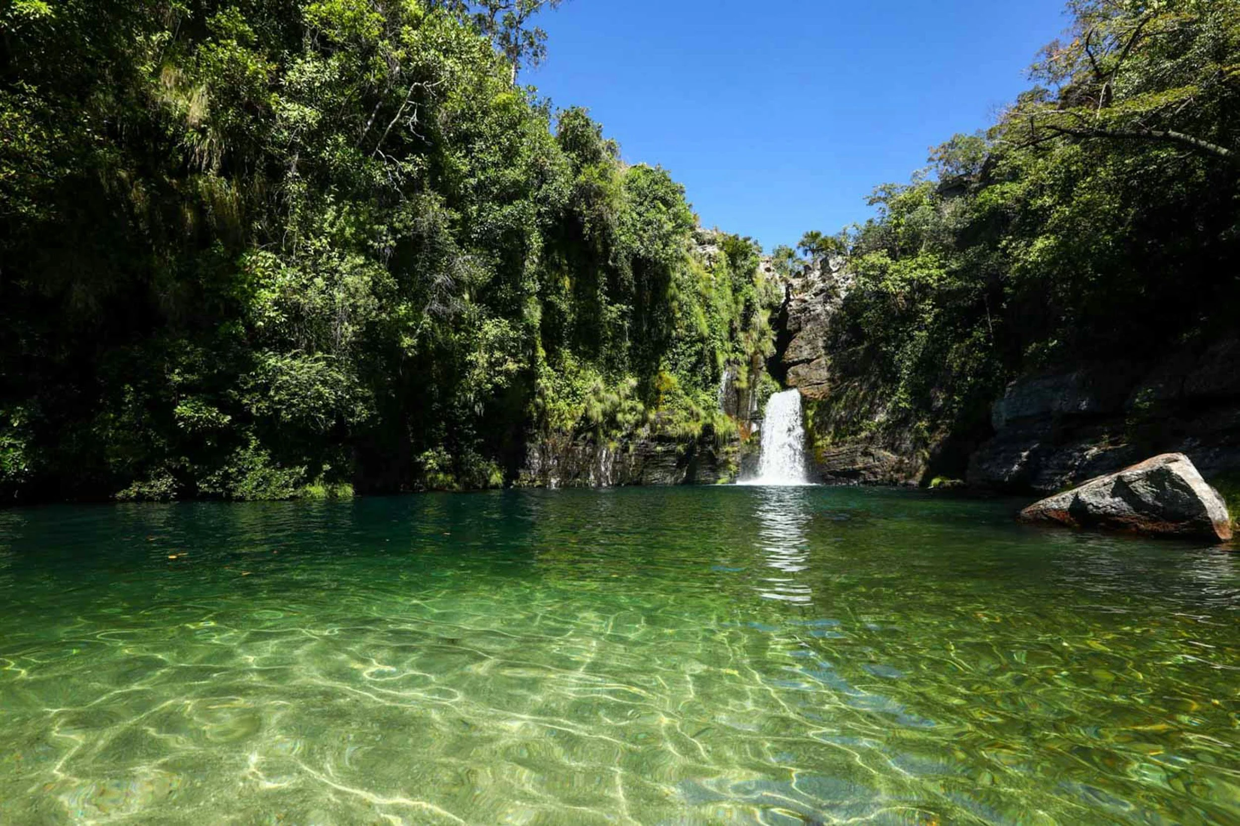 Environmental Defence Society welcomes Conservation Amendment Bill changes