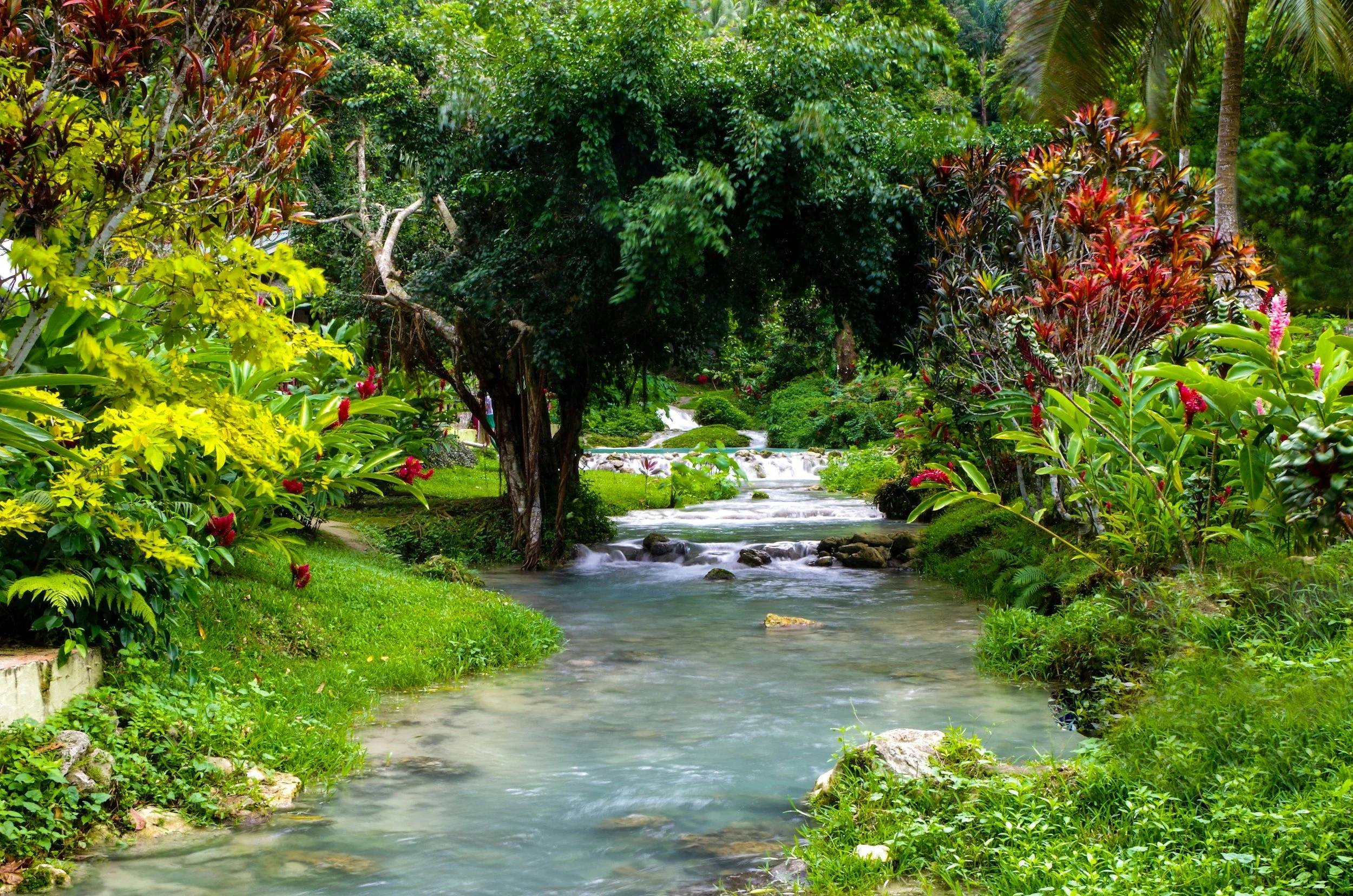 Water Services Authority releases position on downstream drinking water suppliers