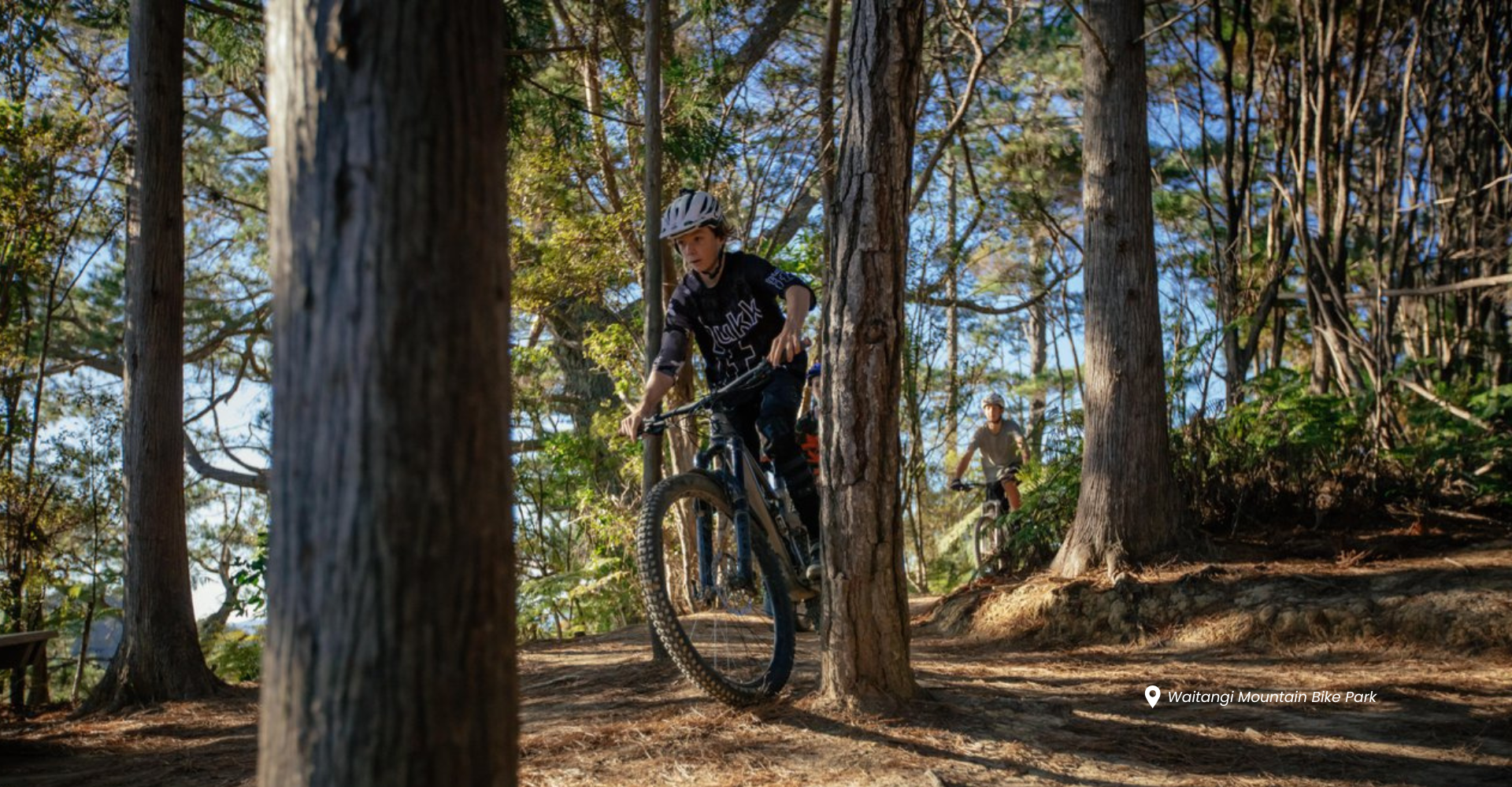 Waitangi Mountain Bike Park.png