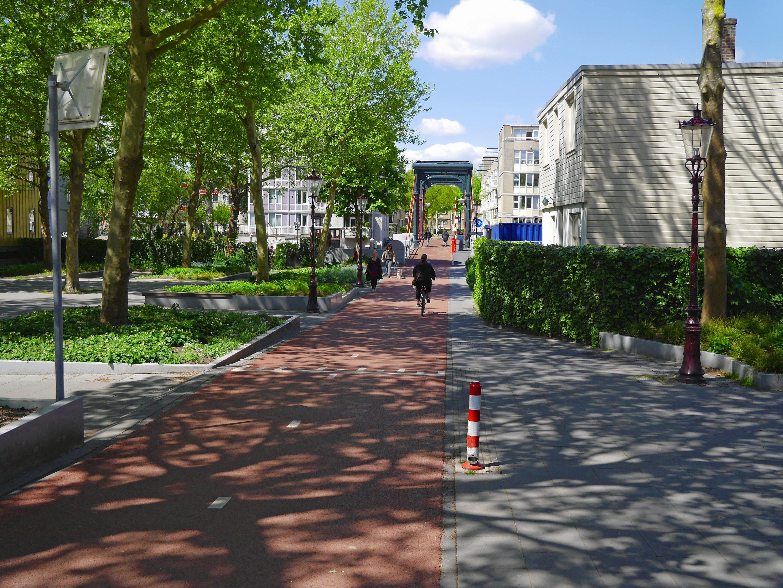 Urban tree protections face the axe in new resource management system - EDS