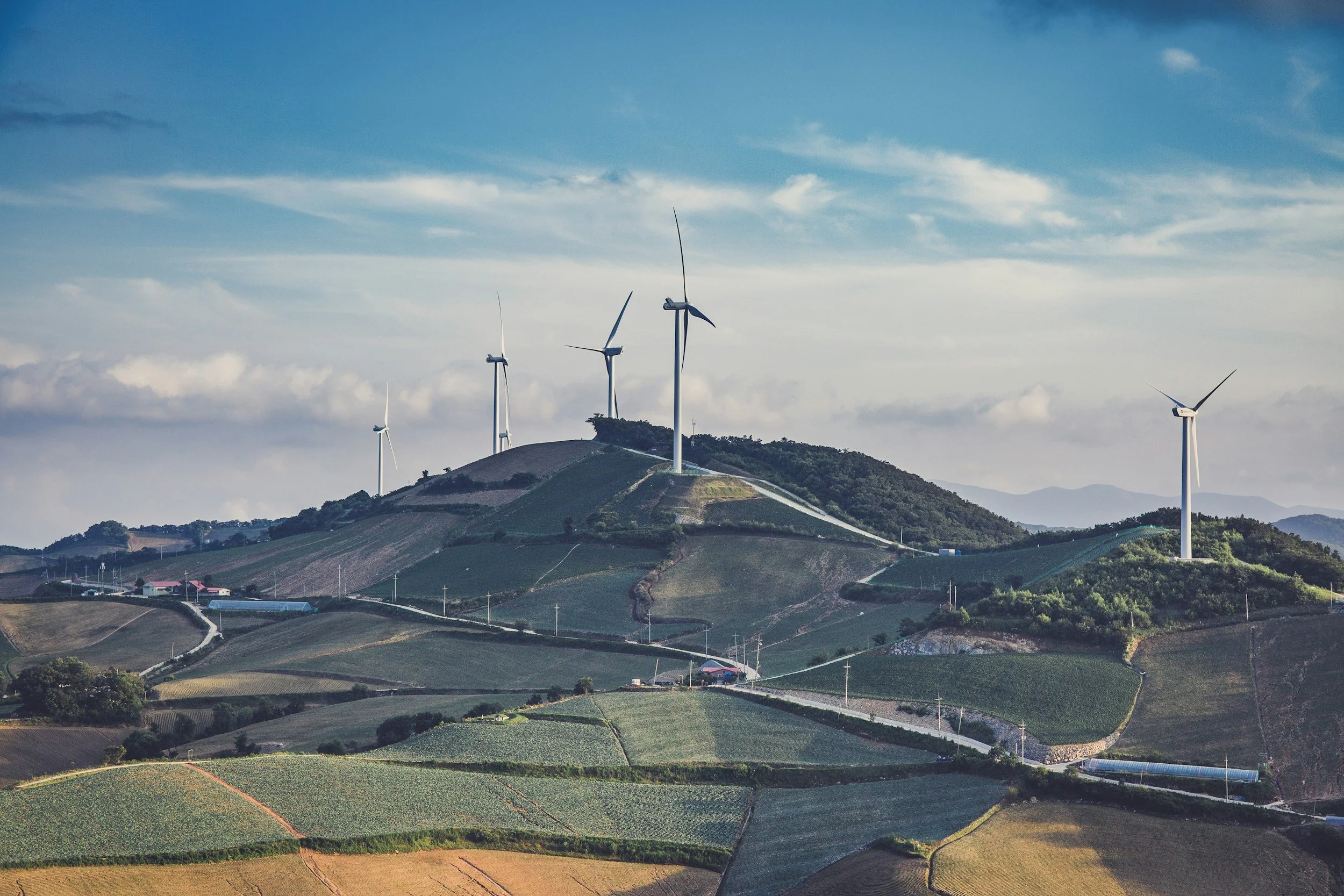 Strong renewable generation reduces reliance on coal and gas