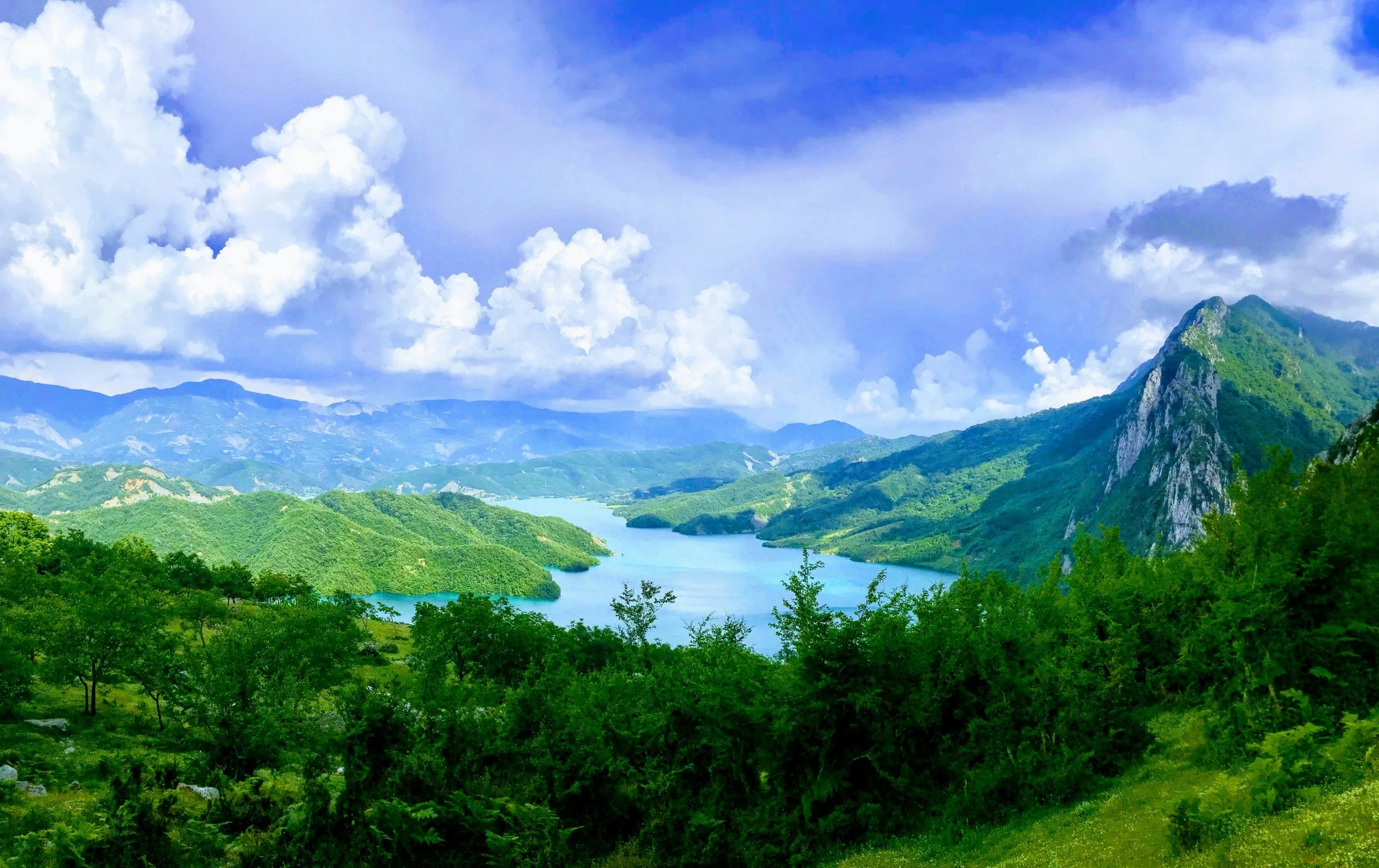 EDS - an open letter to Leaders: three key asks for nature and climate