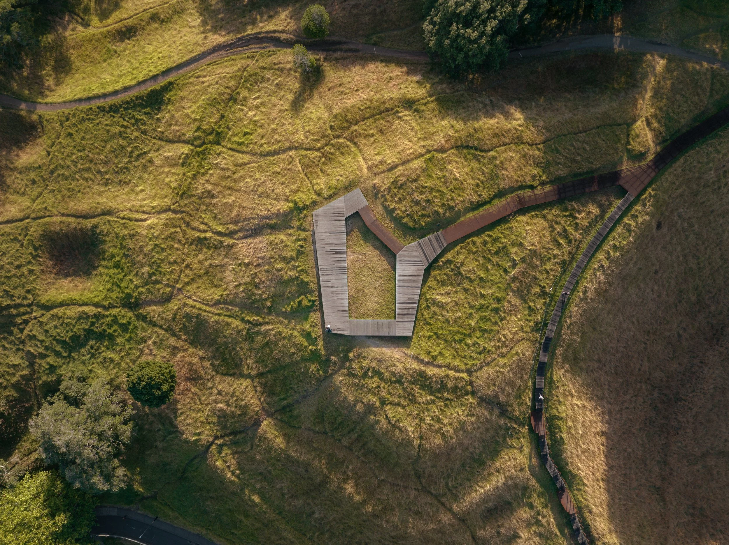 Maungawhau Tihi Boardwalk