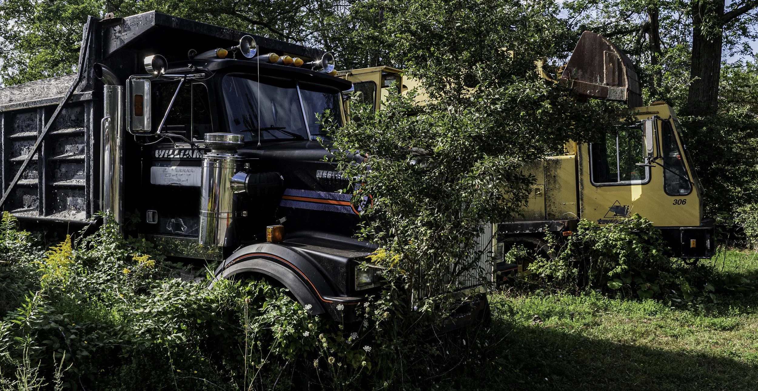 Truck Meets Tree