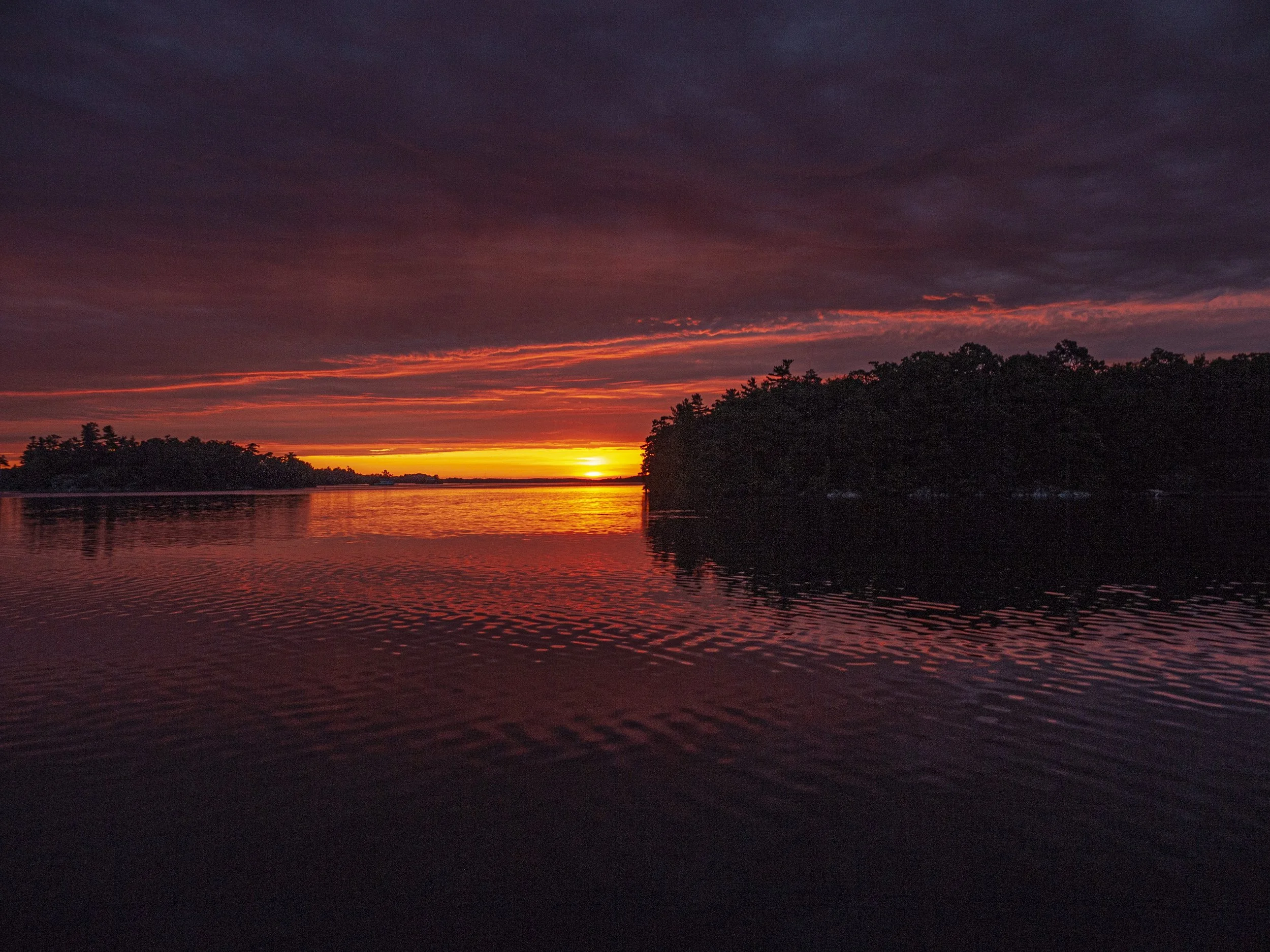 Gilded Sunset