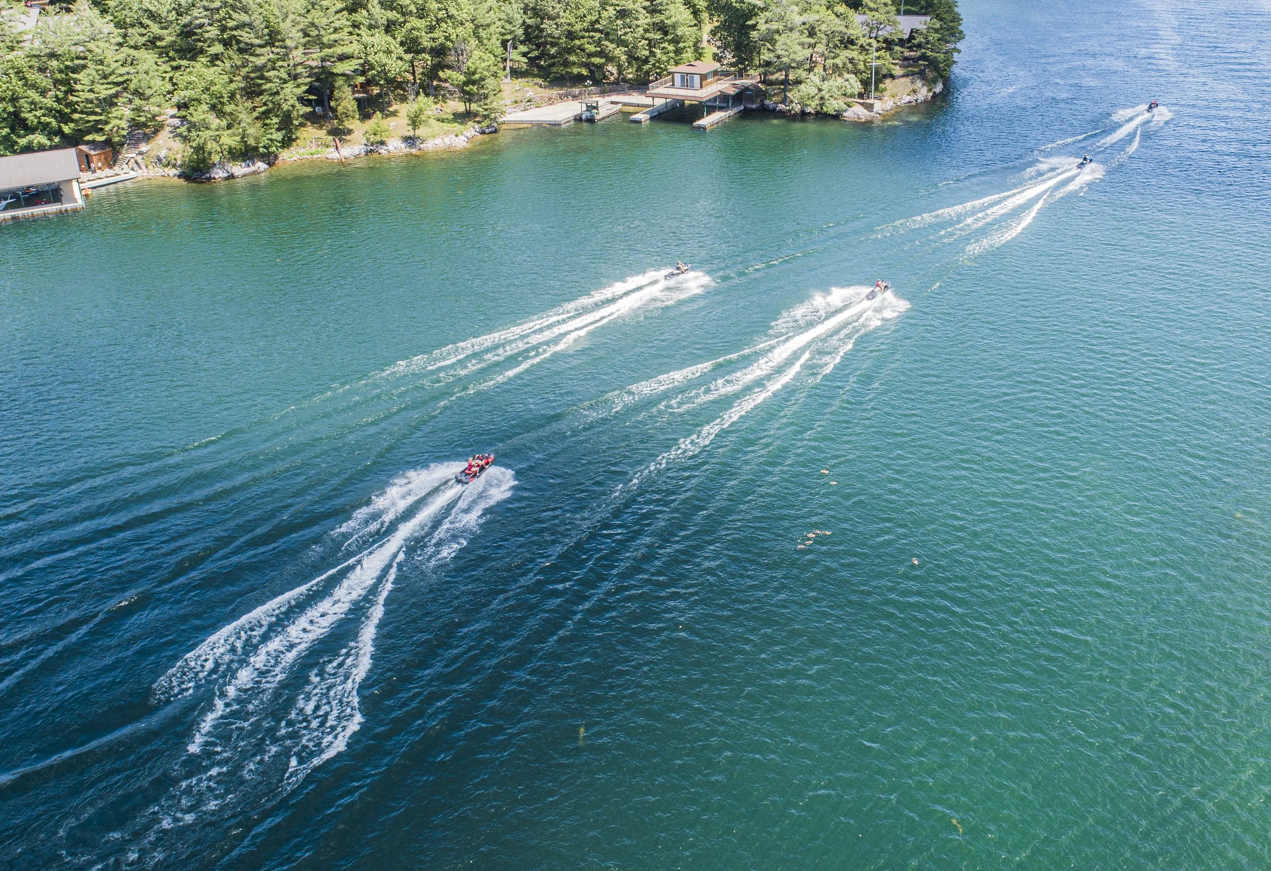 Octopus Trails