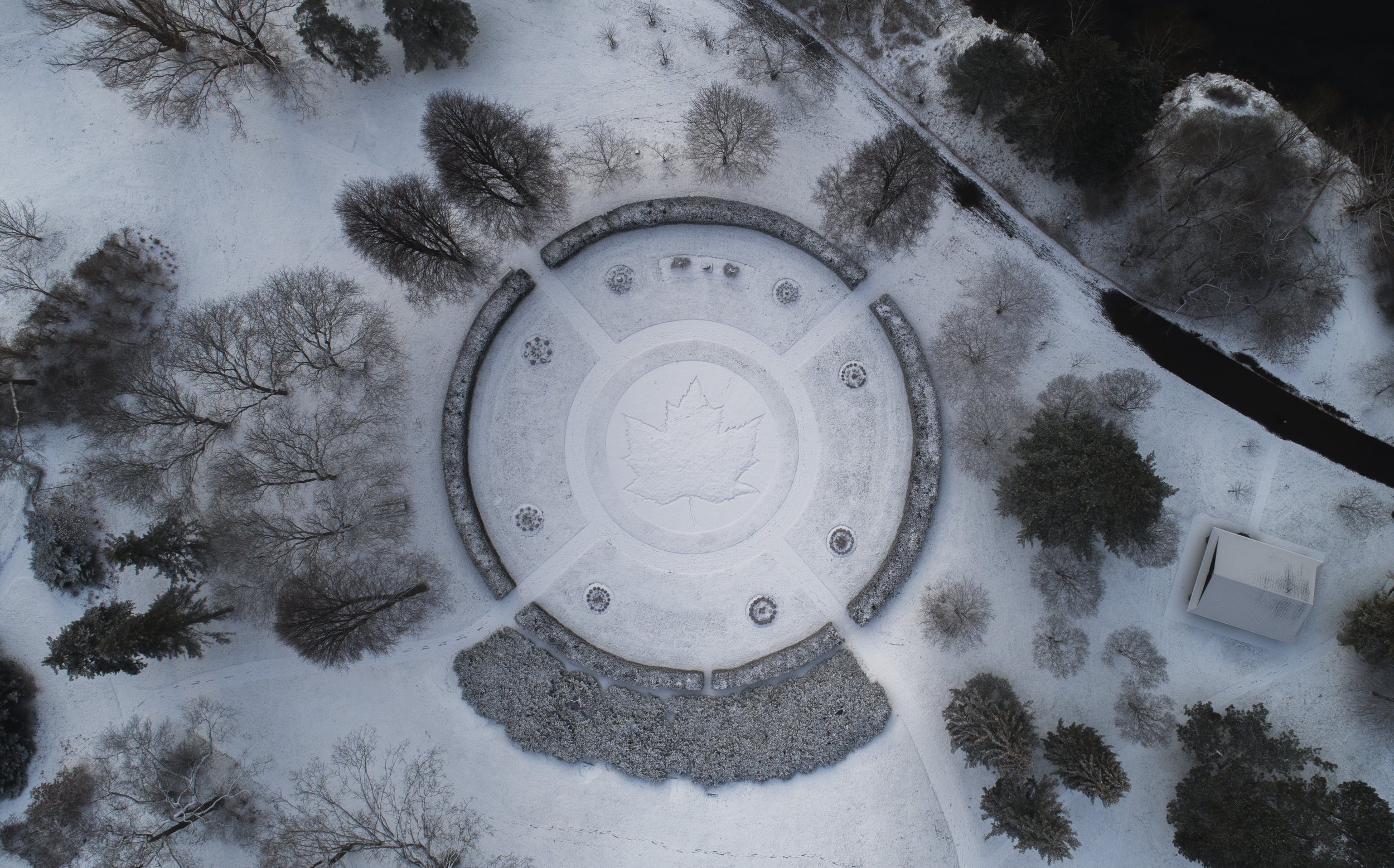 Maple Leaf Circle