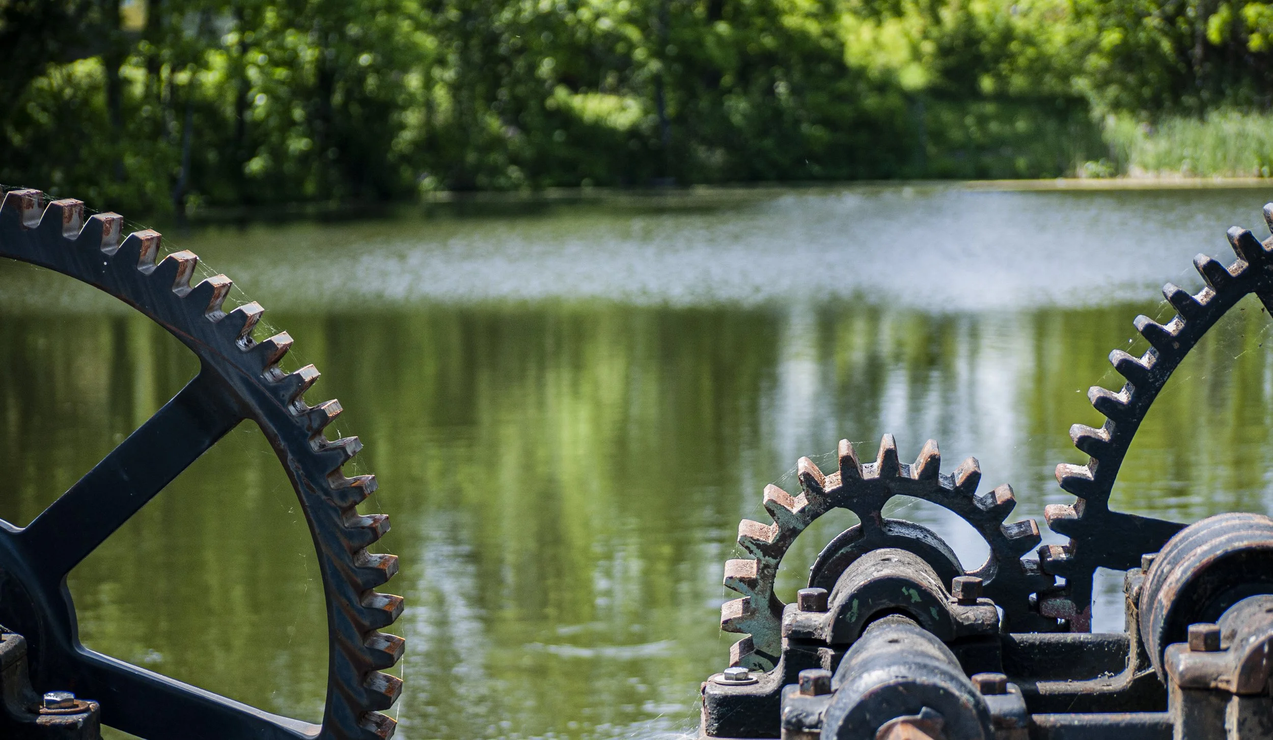 Dam gears