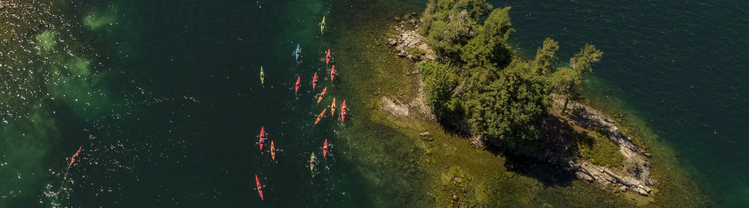 Minnows at Arts Etobicoke Gallery