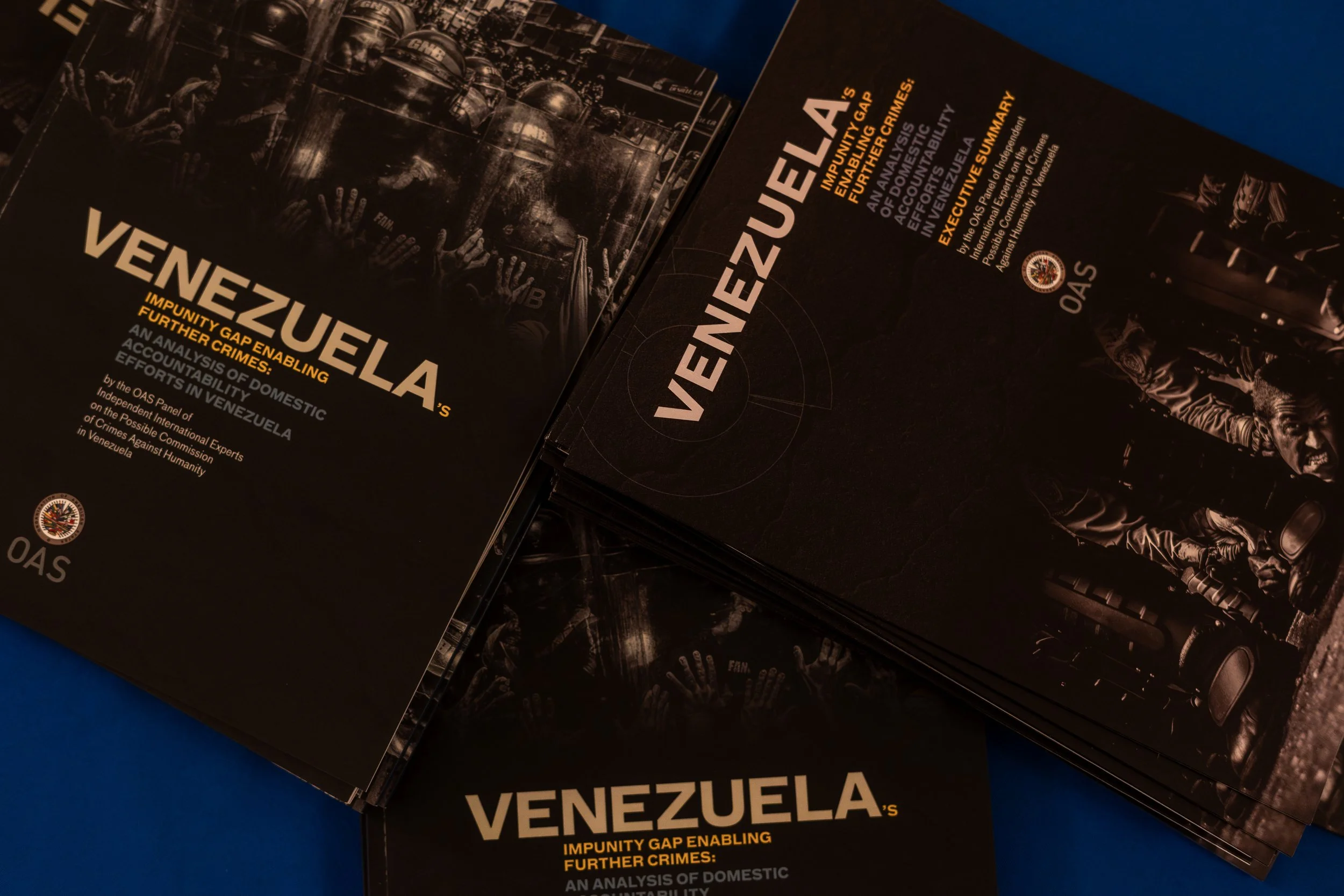 DSC05963-Enhanced-NR - copia.jpg