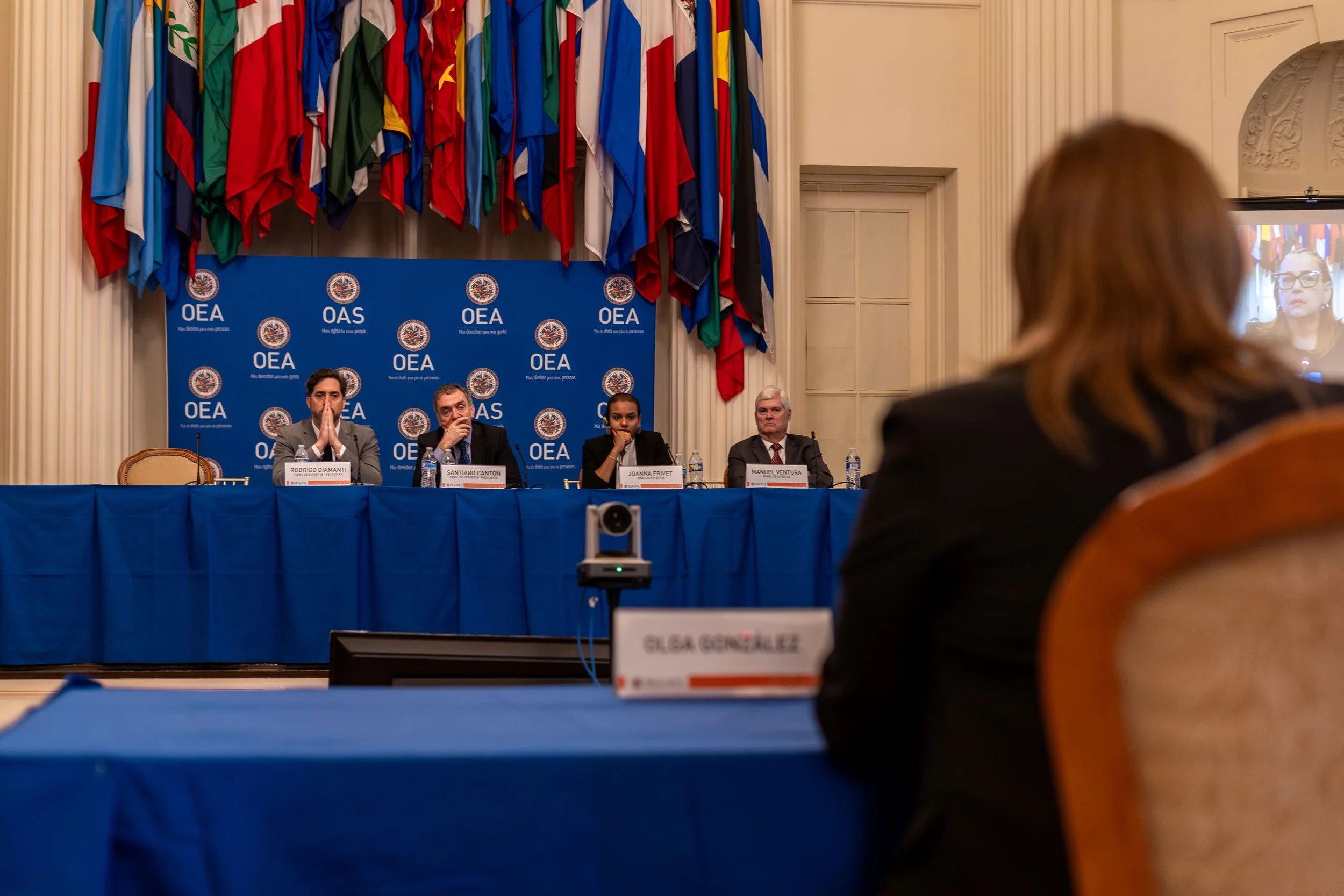 DSC06139-Enhanced-NR - copia.jpg