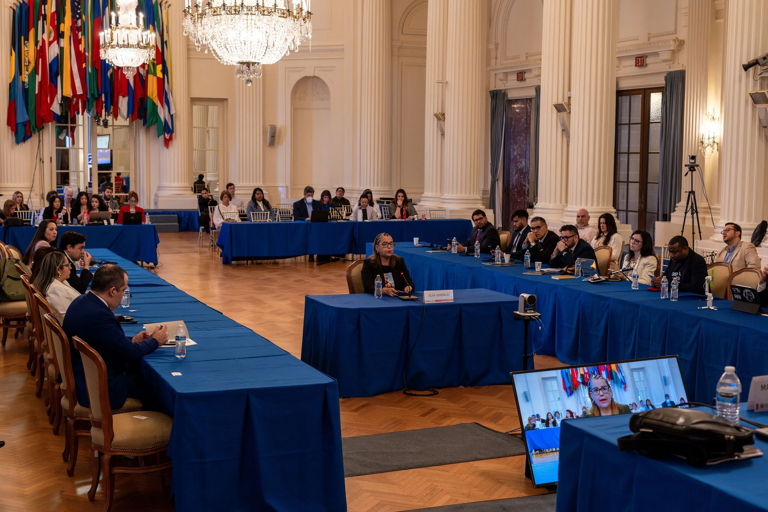 DSC06178-Enhanced-NR - copia.jpg