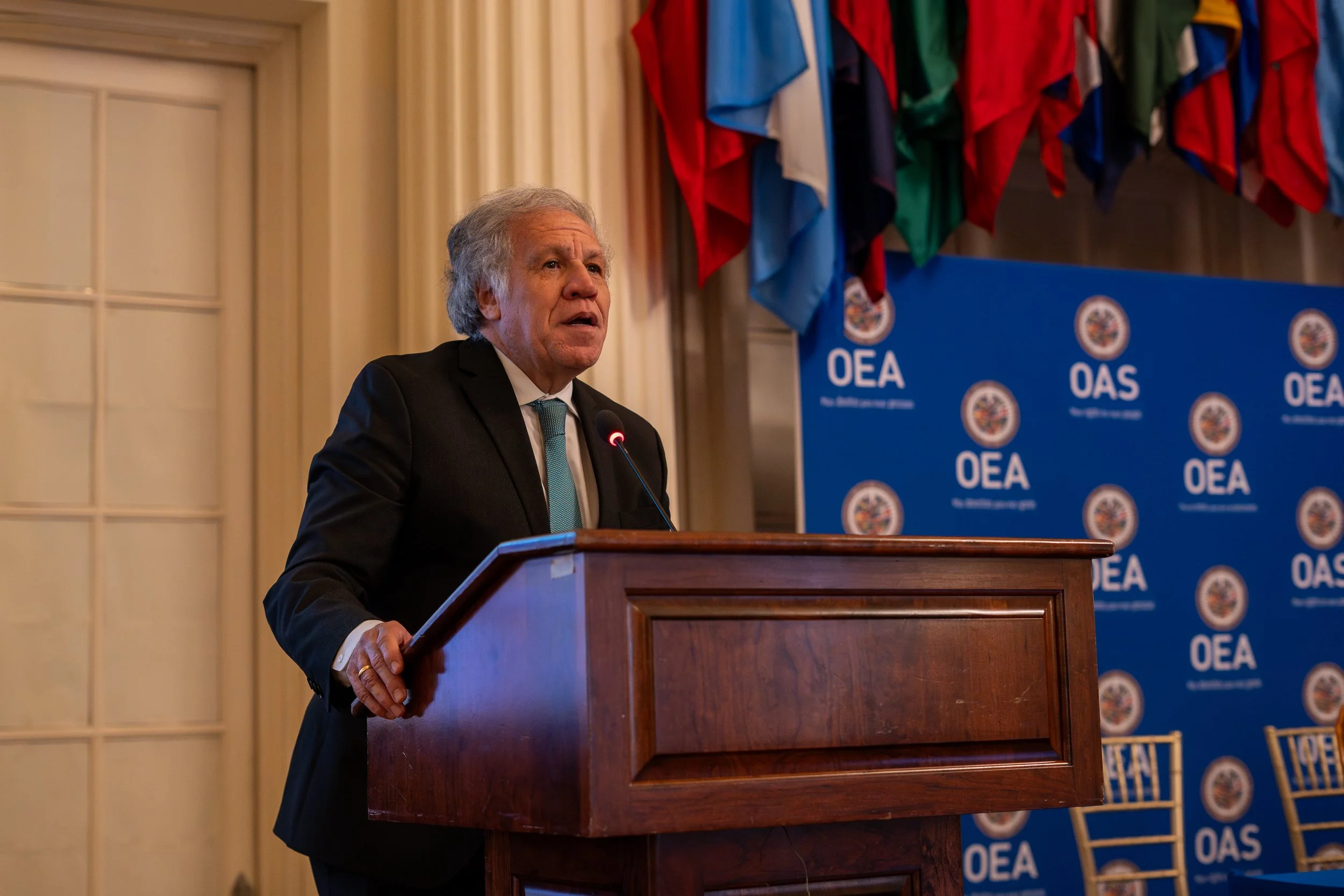 DSC05594-Enhanced-NR - copia.jpg