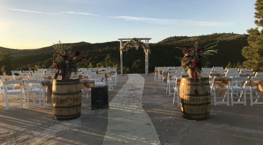 Laurie’s customers, Mariana and Carmen holding hands on a green lawn on their wedding day.