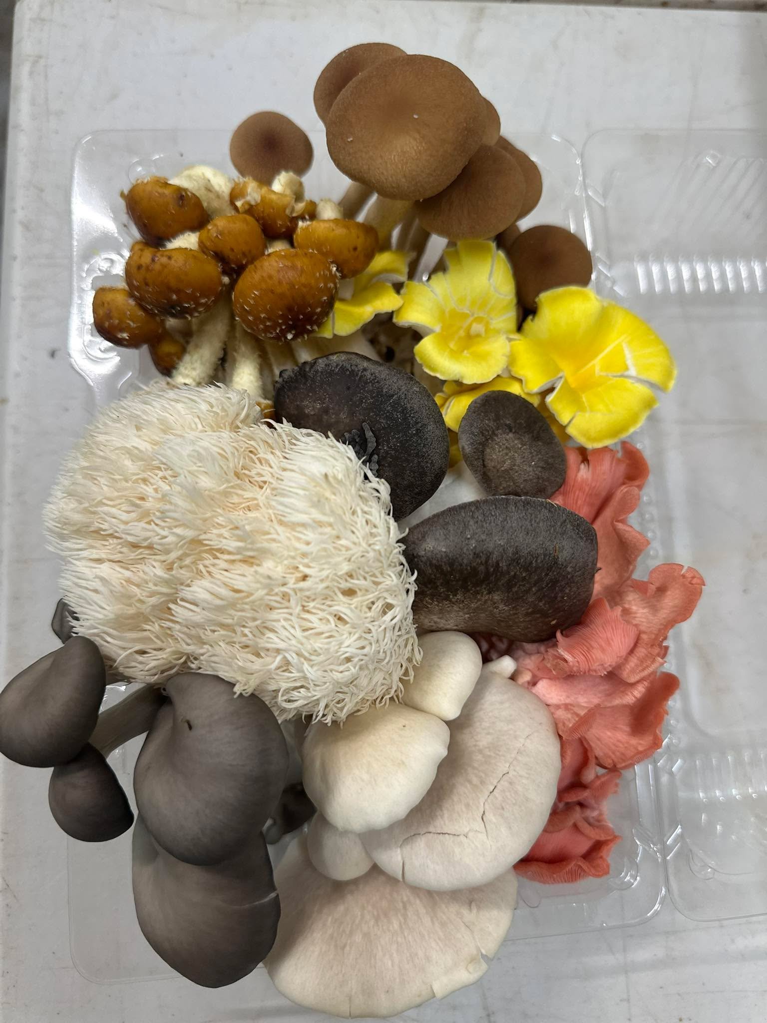 Taking weekly orders! Get Myca farms delivery. Message for info!!