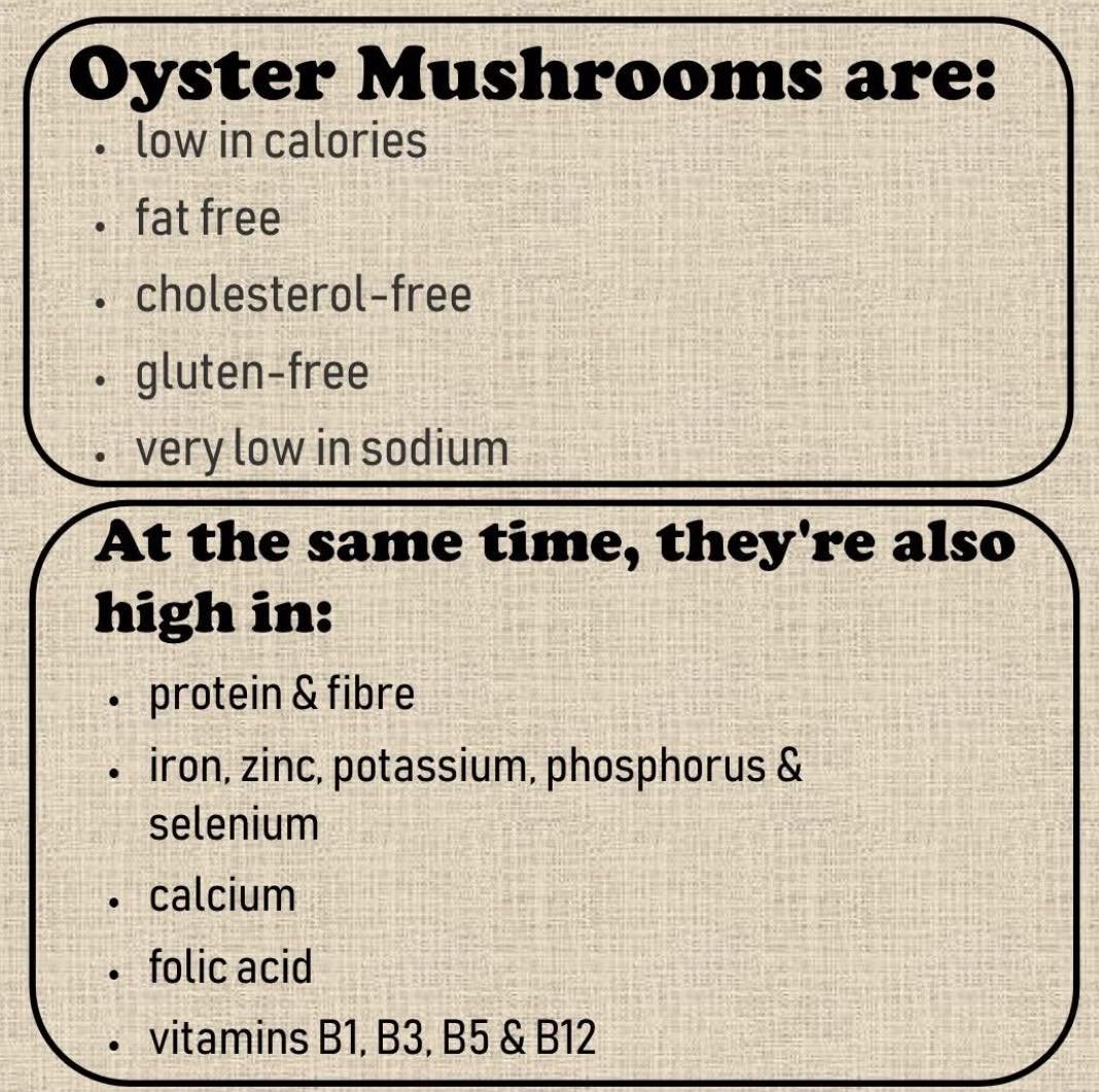 Yes it&rsquo;s dark at 4:30. Wishing the floods will subside. Just remember local businesses and farms always need support! We are proud to keep growing this super food! If you know anyone that&rsquo;s struggling or need support with food stability m
