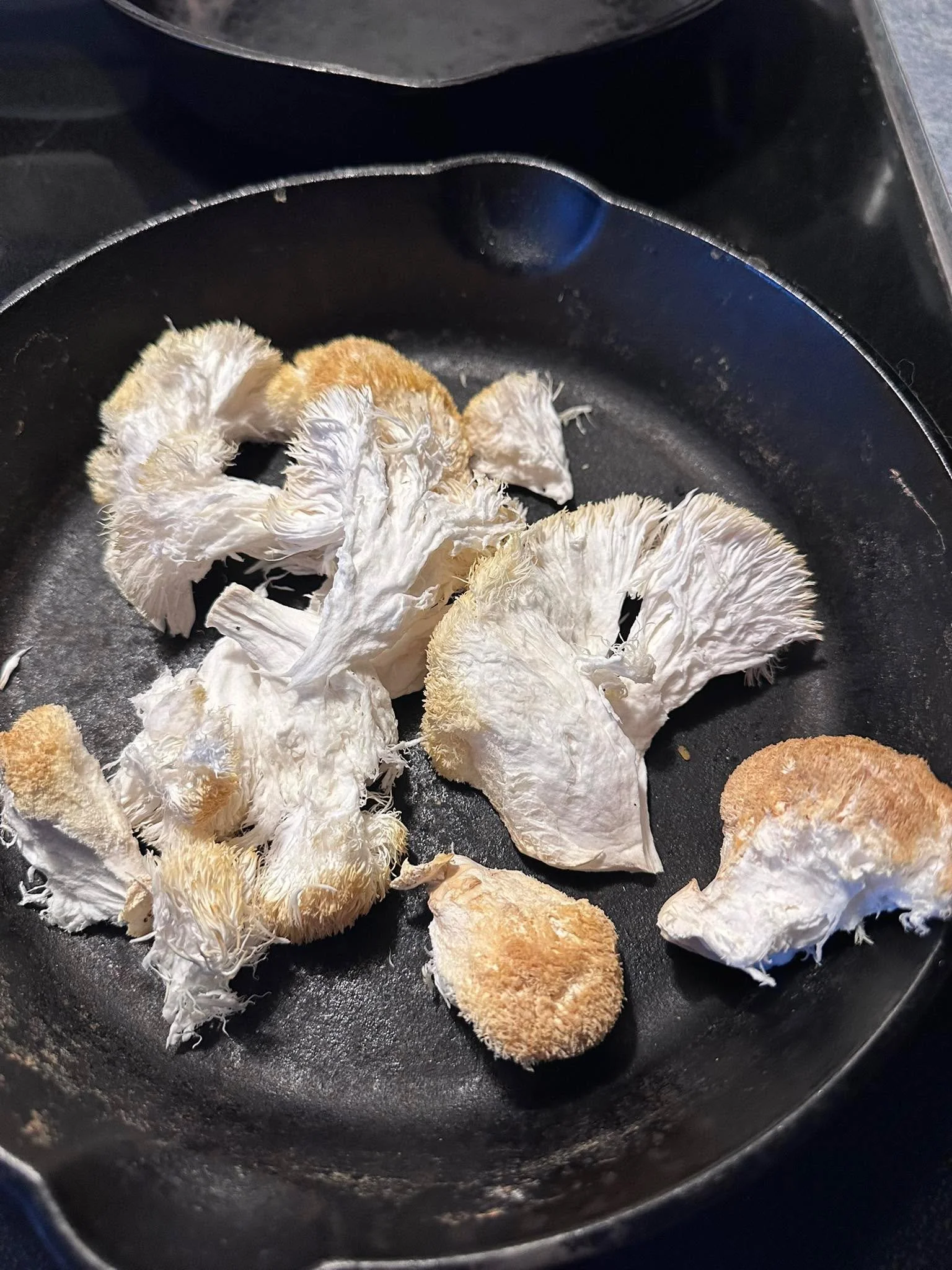 Breakfast for Lions! Just wanna give a shout out, asking the universe for love and peace for all our friends and family suffering from illness and disease, mental health, depression, and addictions. We ask our creator and our higher selves to continu