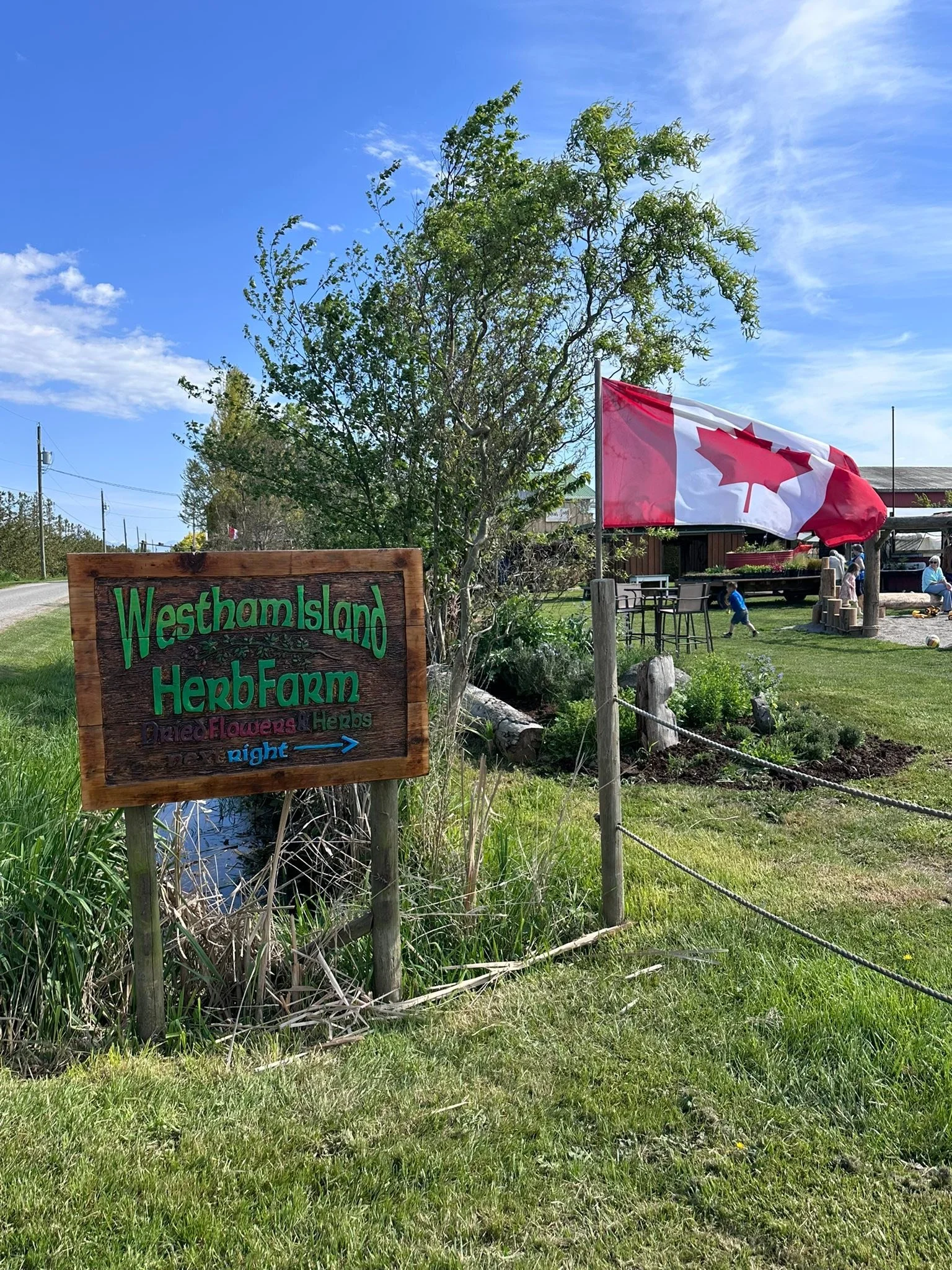 Come out to the Westham island Herbfarm!! We will be stocking them up all season! 

#WesthamIsland #LadnerBC #Tsawwassen #DeltaBC #FraserValleyFarms #SupportLocalBC #BuyLocalBC #FarmToTableBC #BCFarmers #LocalHarvest #FreshFromTheFarm #EatLocalBC #BC