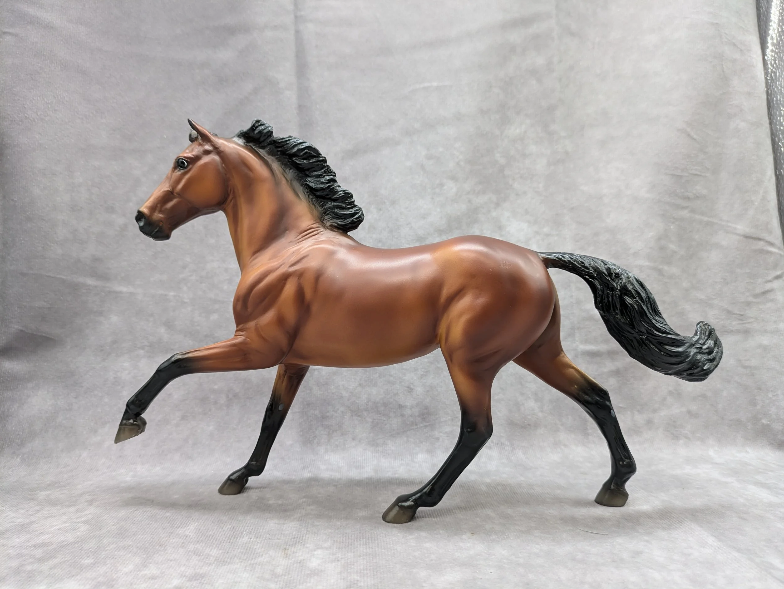 Applegate 2023 TSC FFA Horse