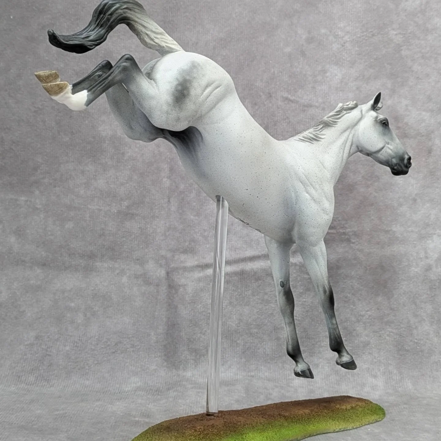 729830181_18094169660341669_7963037676195251733_n.jpg