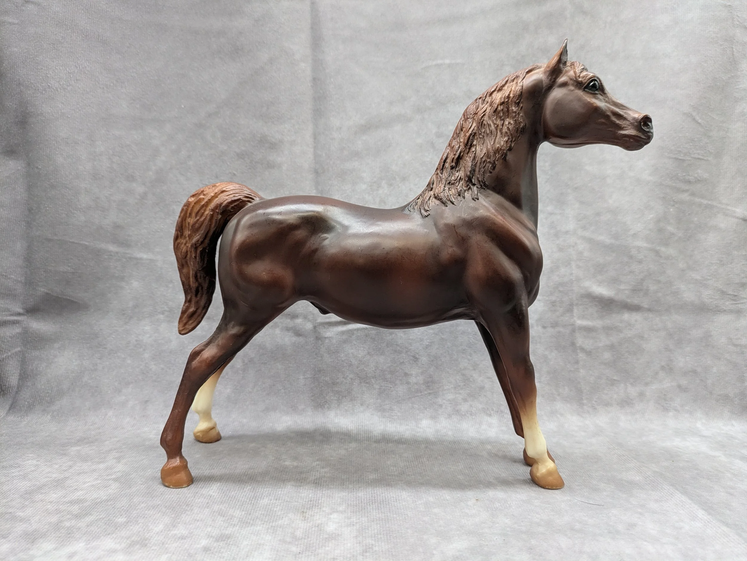 Liver Chestnut Stretch Morgan