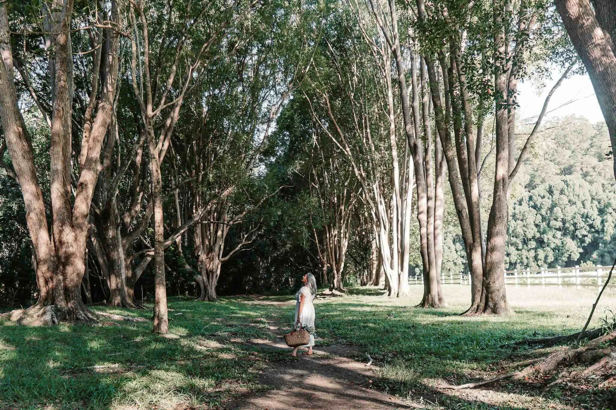 A woman with long gray hair wearing a white dress, carrying a woven basket, walking on a dirt path through a shaded, green park with tall trees and a grassy area.