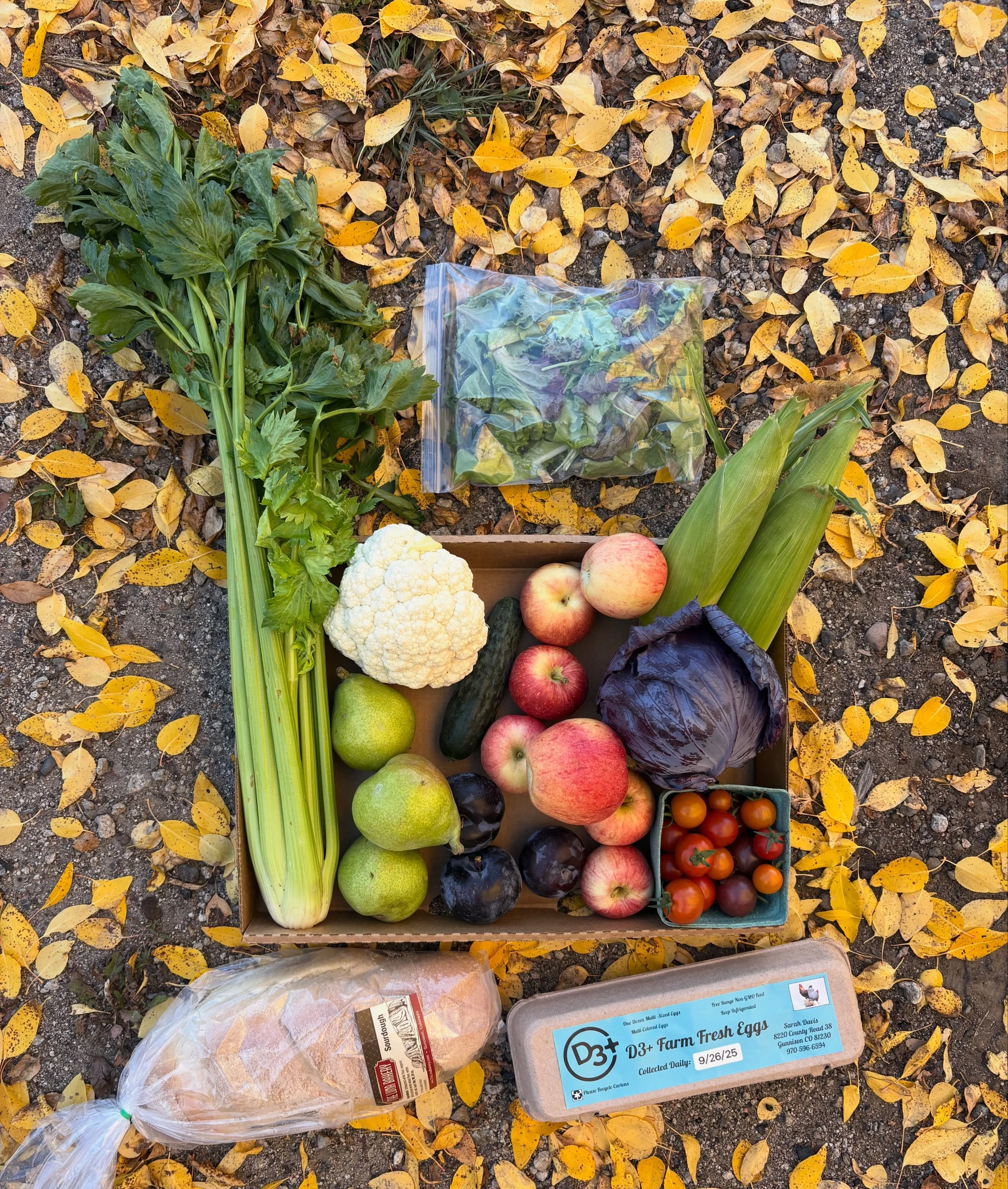 Joining a CSA, a Community Supported Agriculture program, is one of the easiest ways to eat local and support your community&rsquo;s producers. 

In CSA farm share programs participants pay for their share at the beginning of the season allowing farm