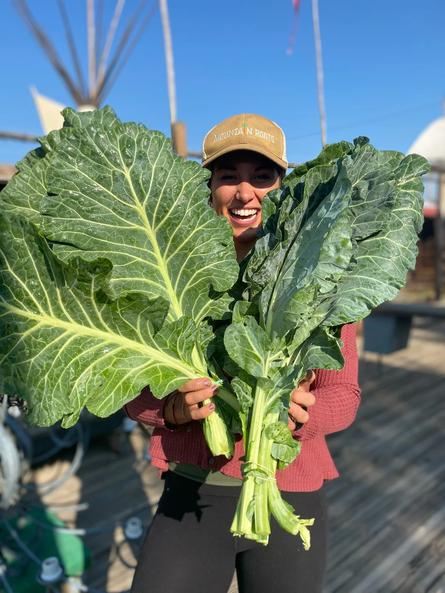 It&rsquo;s time we introducing ourselves again! 

Welcome to the Colorado Local Food Network, a collaborative project between a collection of Colorado&rsquo;s leading local food organizations and food hubs. Supported by the USDA AMS grants program we