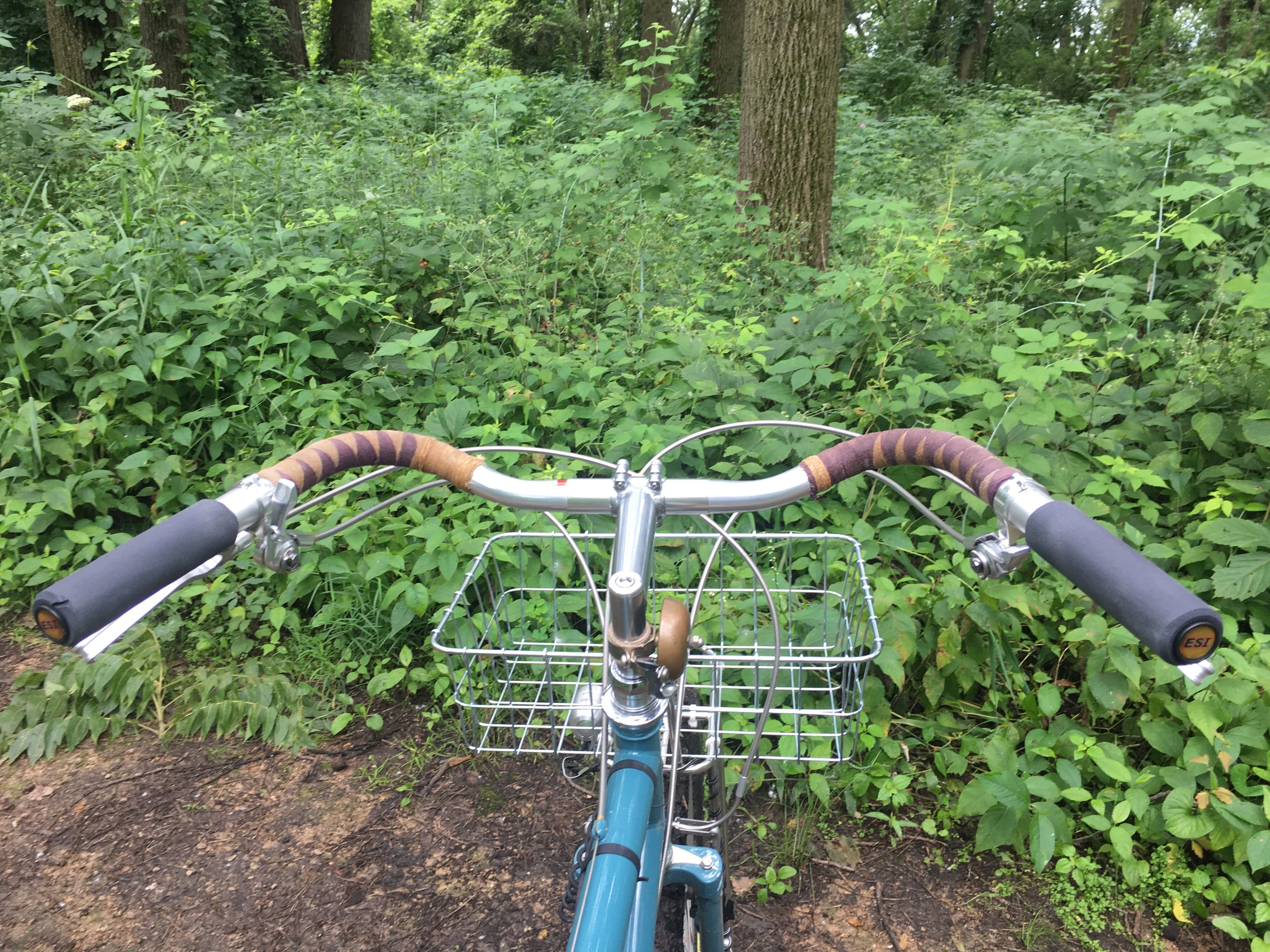 Cloth & Twine Bar Tape Workshop: POSTPONED