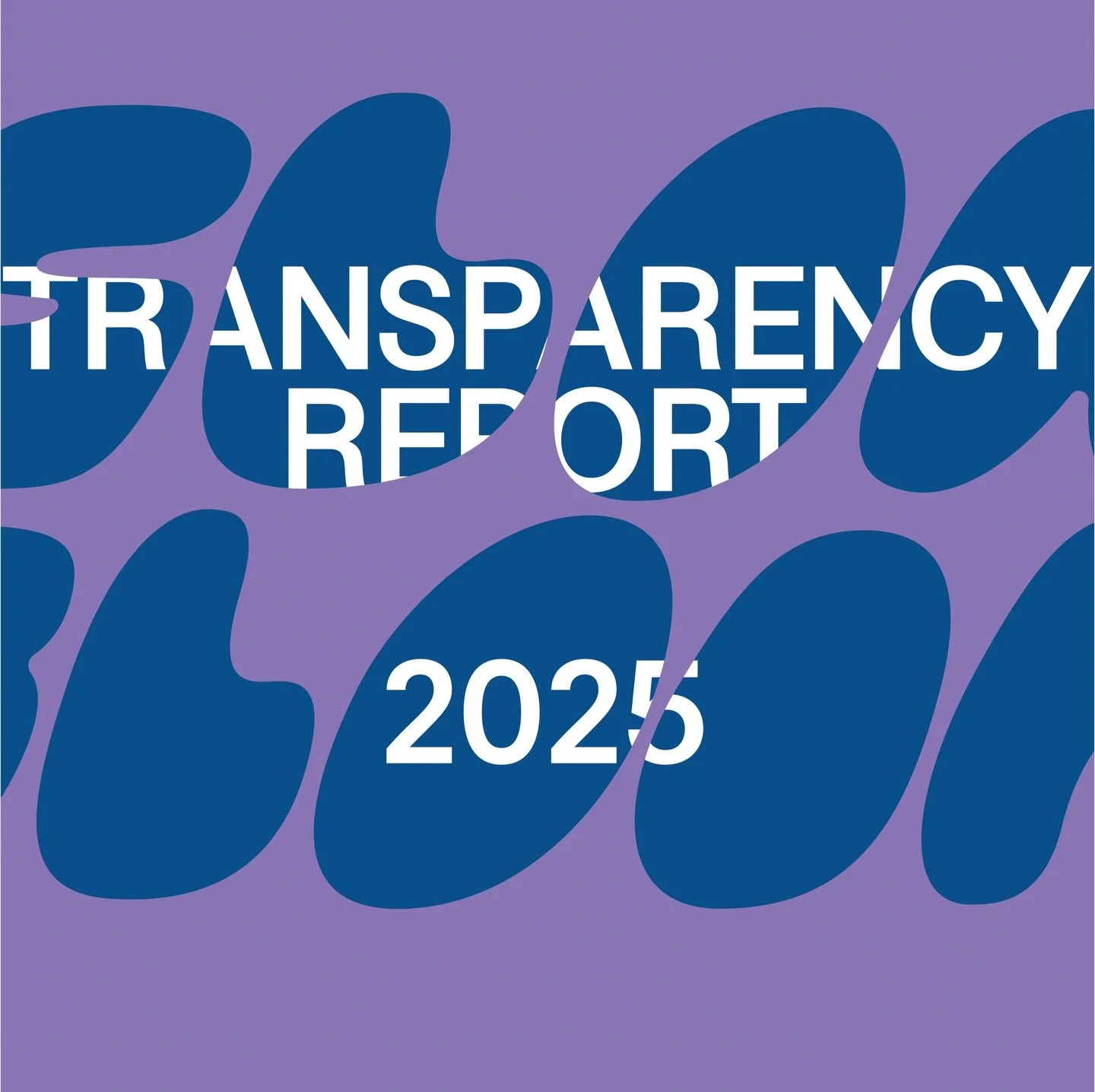 TRANSPARENCY REPORT 2025
Part 2: Financial Structure