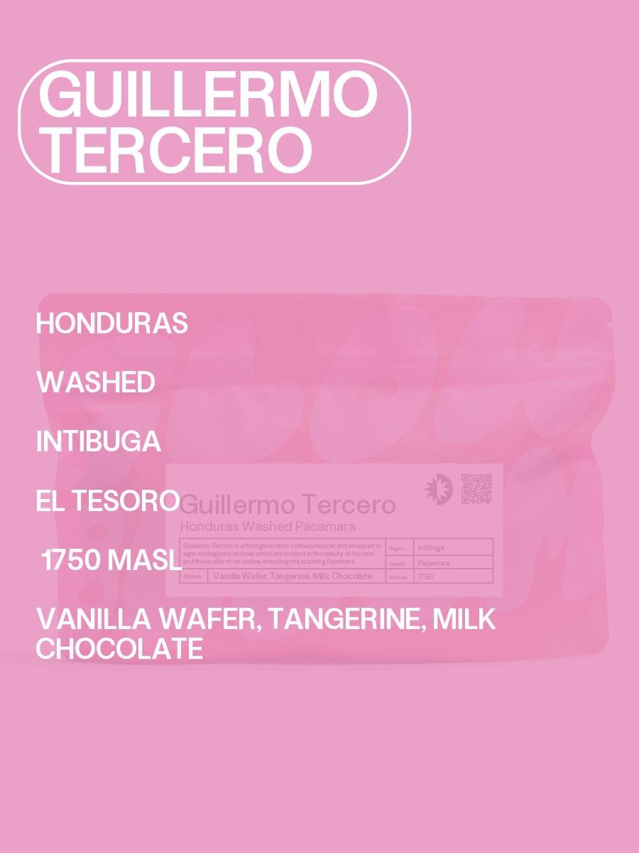 GUILLERMO OVERLAY.png
