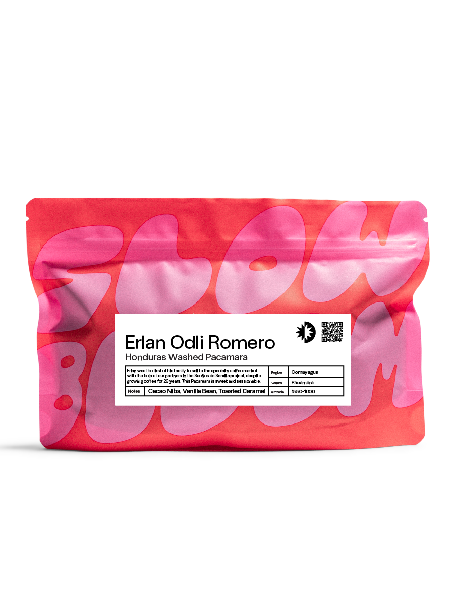 Honduras | Erlan Odli Romero - Washed Pacamara