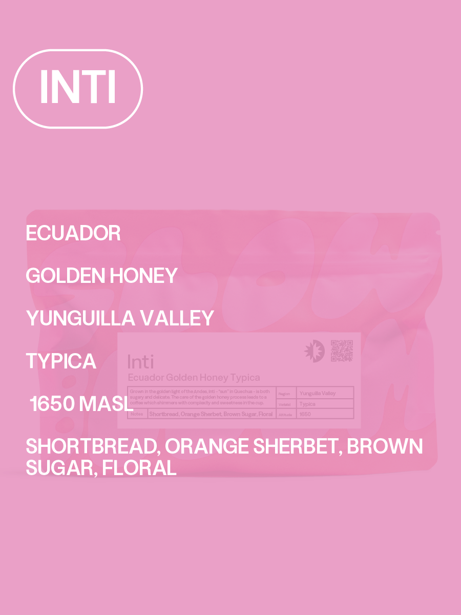 INTI SECONDARY.png