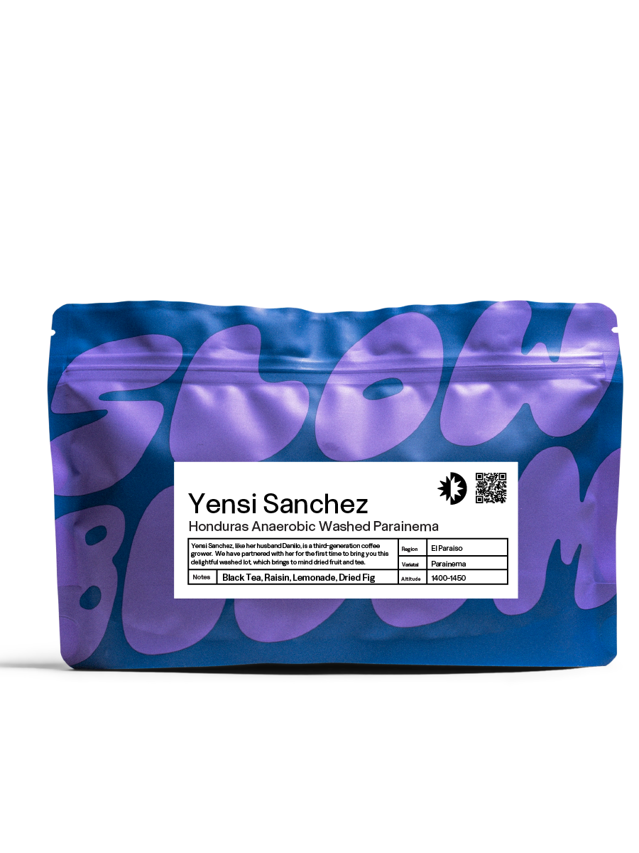 Honduras | Yensi Sanchez - Anaerobic Washed Parainema