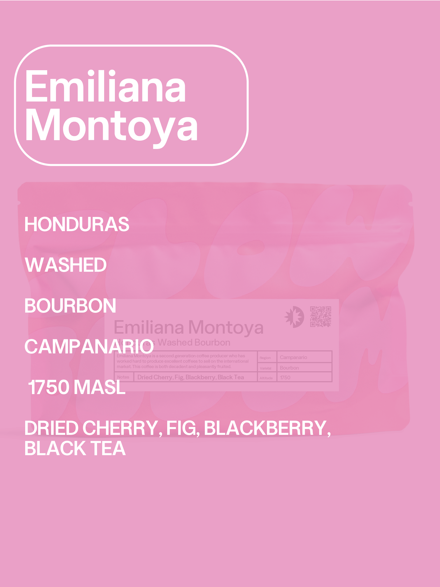 MONTOYAOVERLAY.png