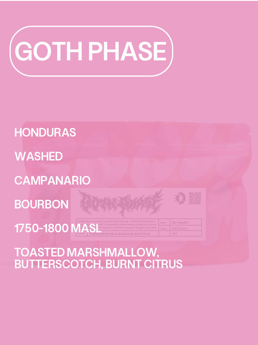 NEW GOTH COVER.png