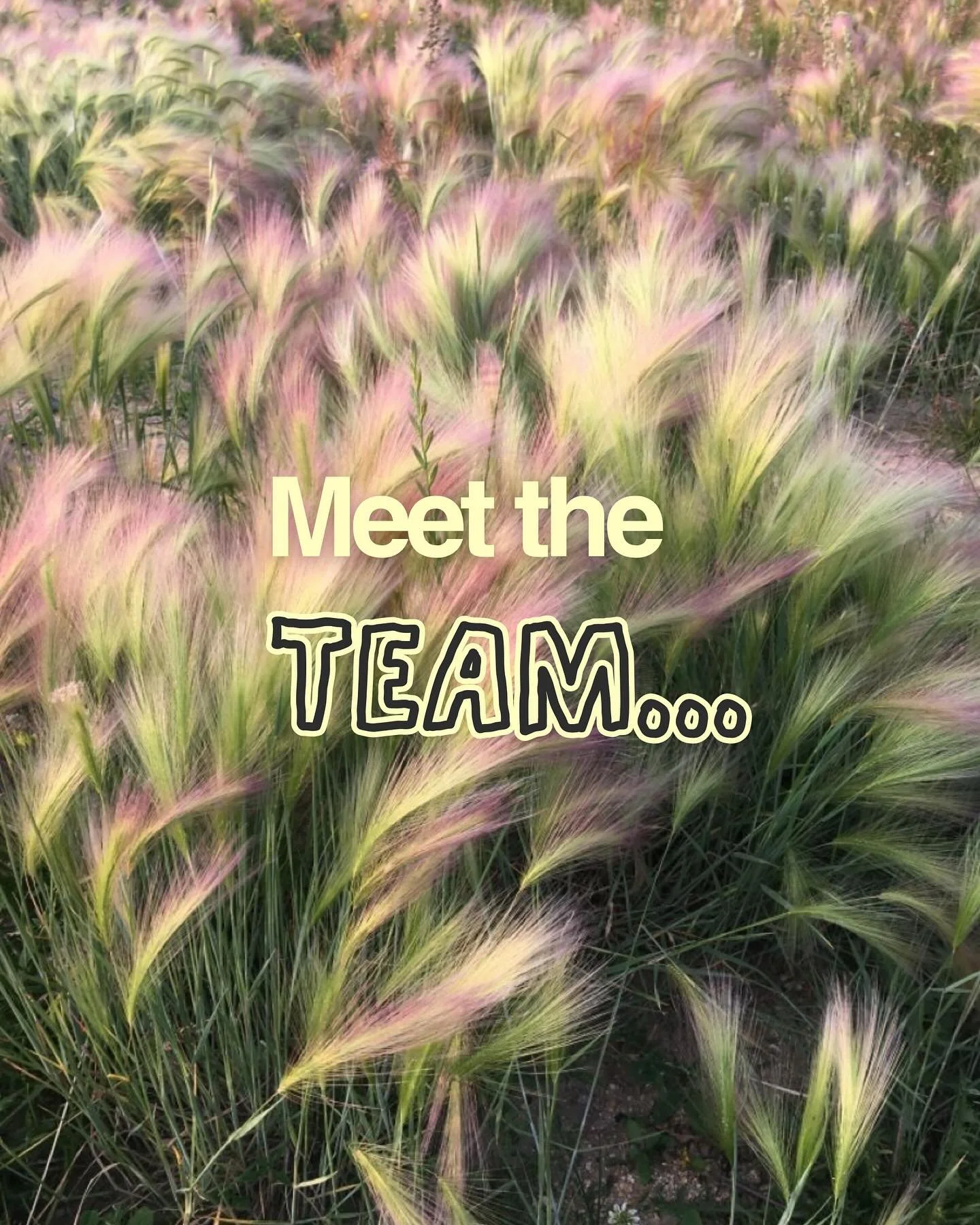 Meet the team of flower powered faces behind your next evolution. 

We are a team of creatives &amp; strategists here to help you reach new heights. 

Our goal is to not only bring you curated services and packages to help grow your business, but we 