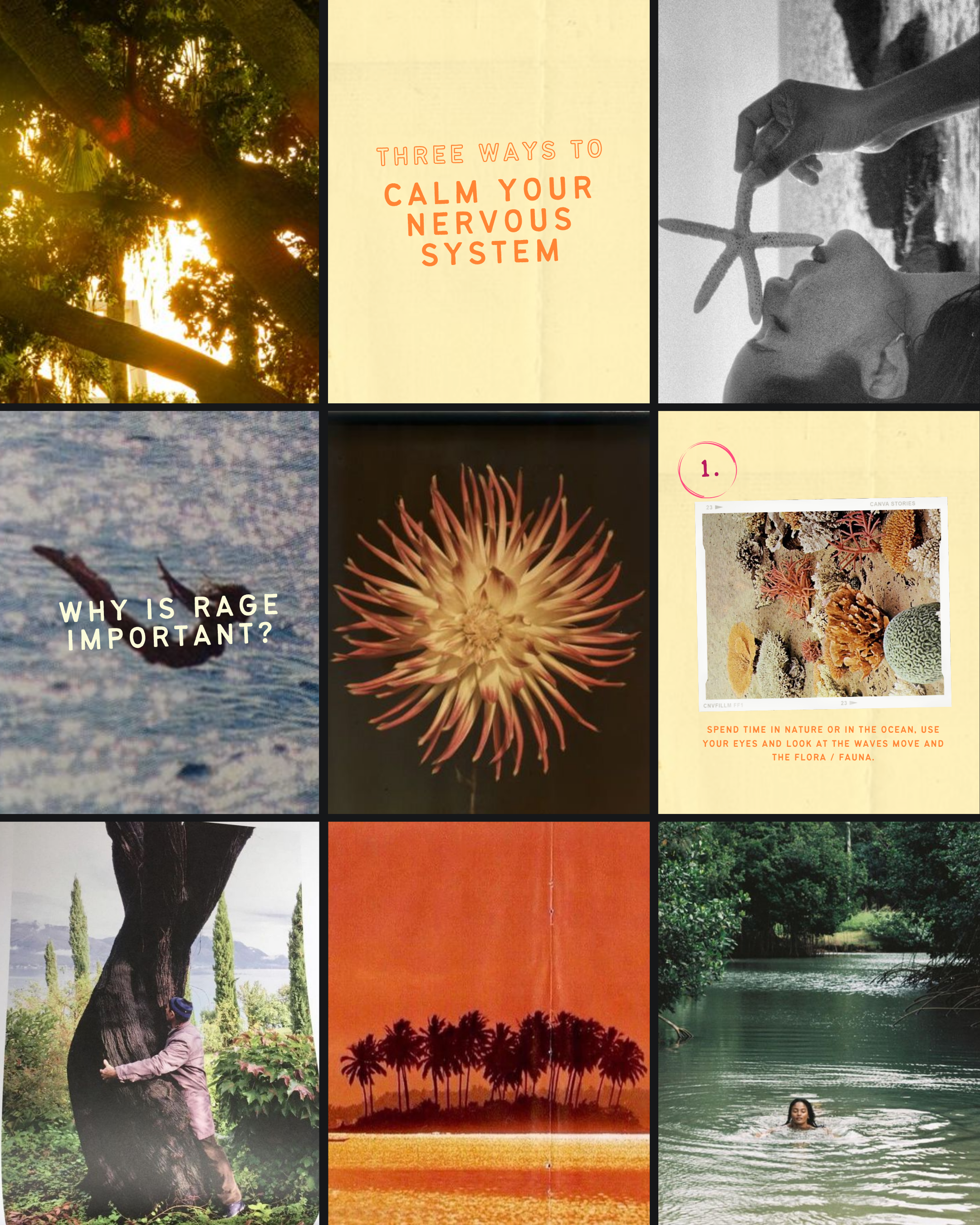 The Wholesome Page - Naturopathy Brand Identity