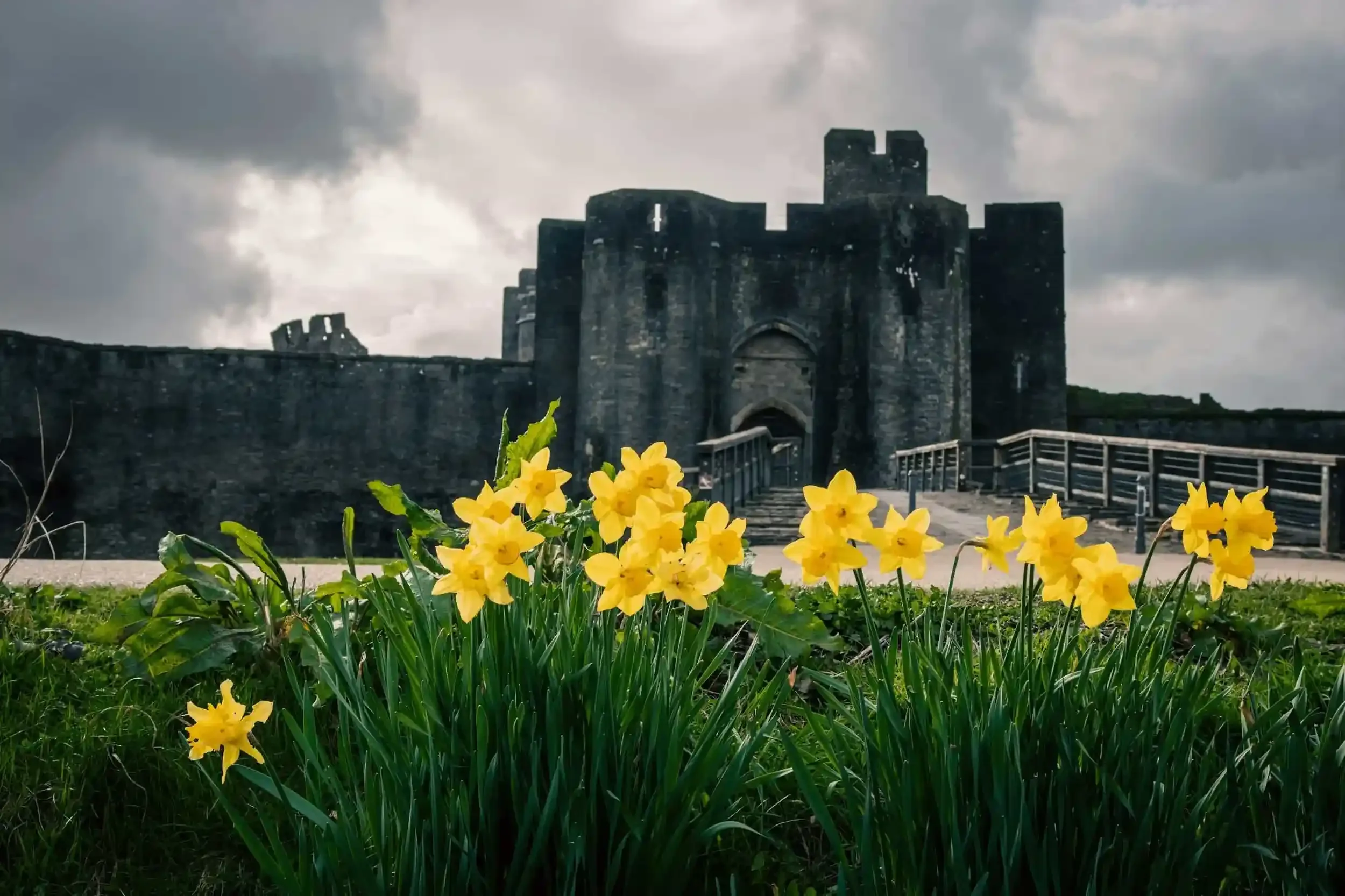 A Visitor Levy For Wales: What It Means for the Hospitality Industry