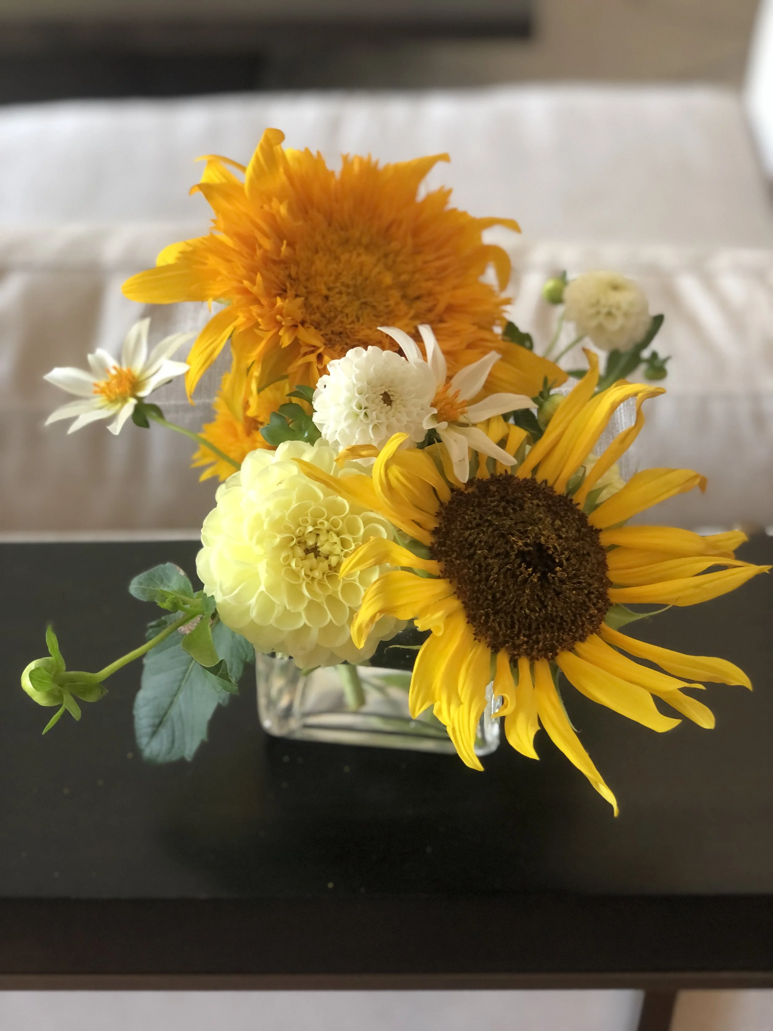 Vase with yellow sunflowers and white flowers on a black table.
