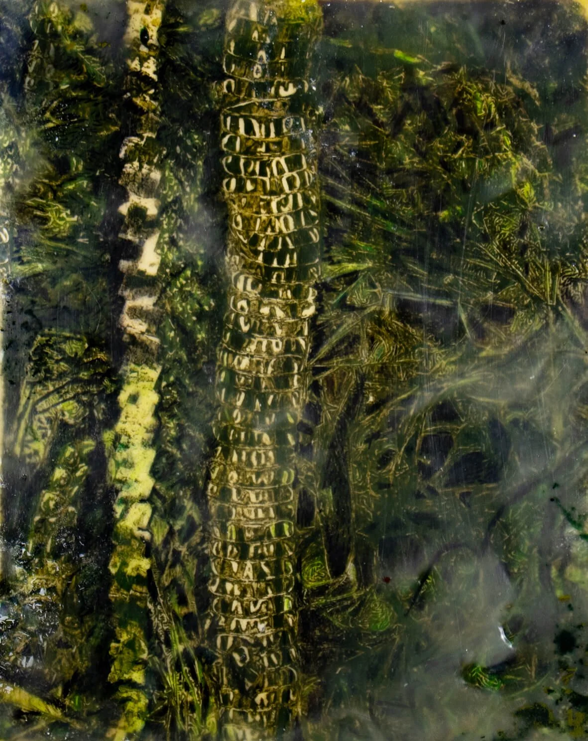 SM-Monoprint_Snakesnake_palm-0197.jpg